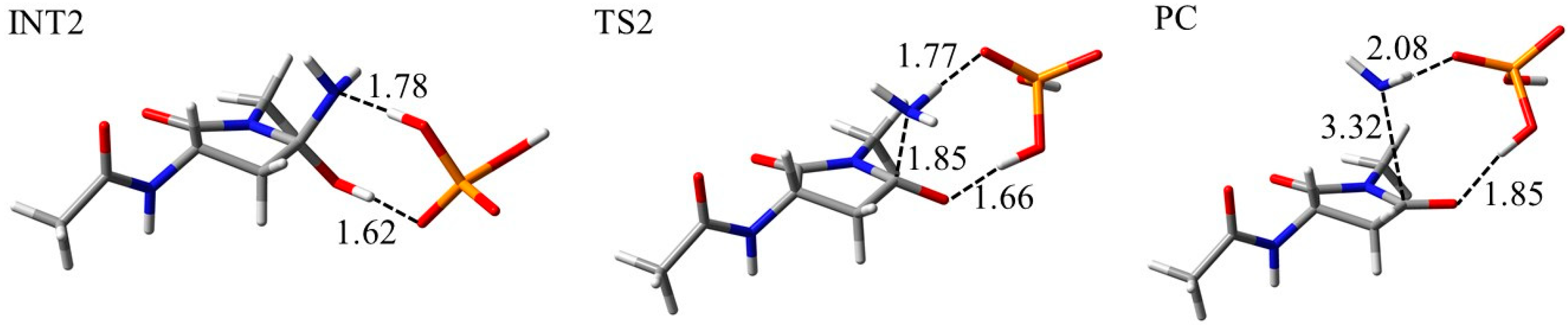 Ijms 21 07035 g011 Ijms 21 07035 g011