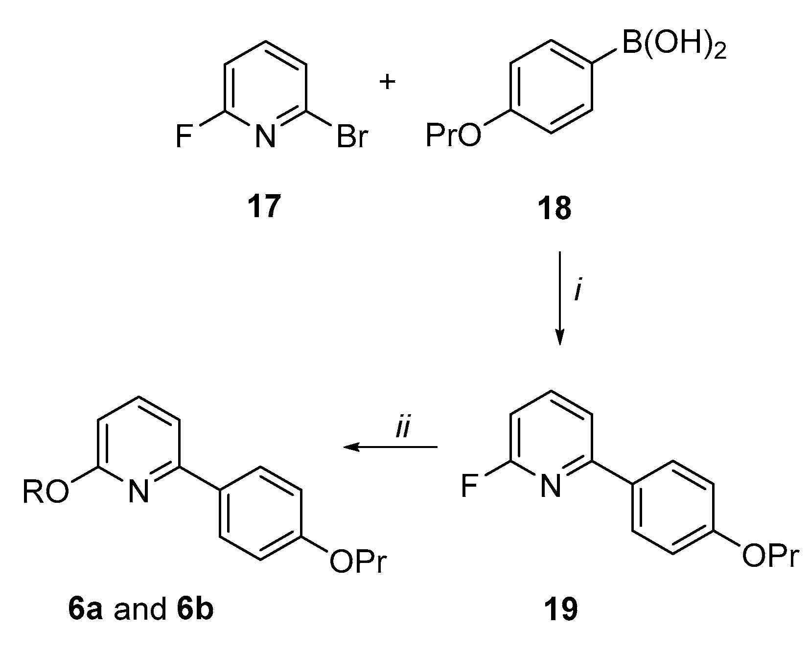 Ijms 21 07037 sch004