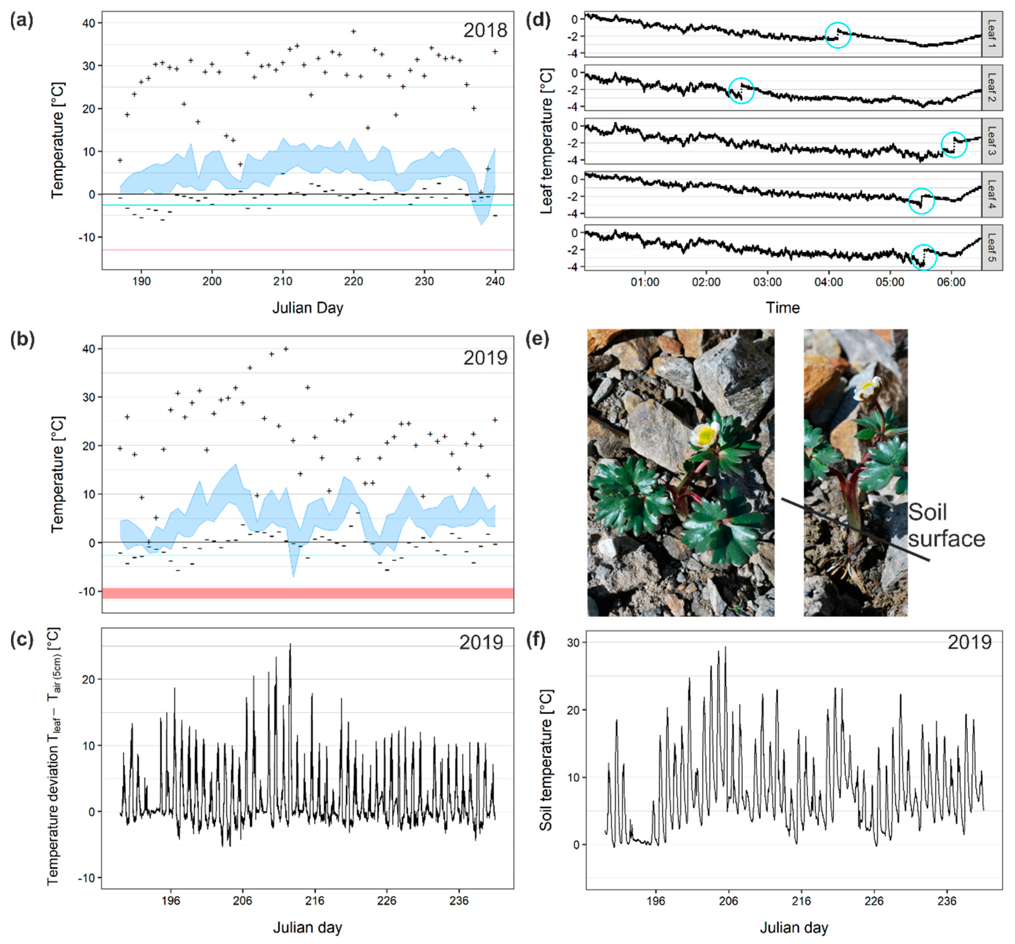 Ijms 21 07042 g001 Ijms 21 07042 g001