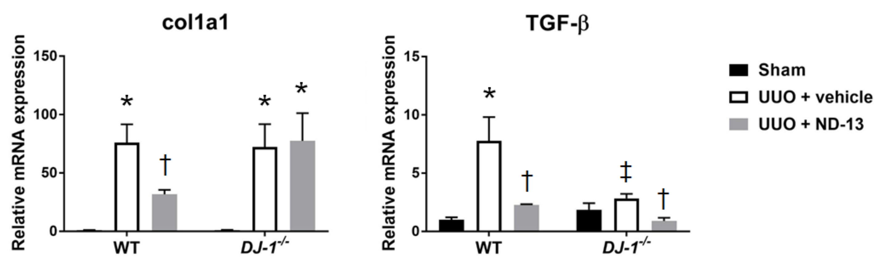 Ijms 21 07048 g001 Ijms 21 07048 g001