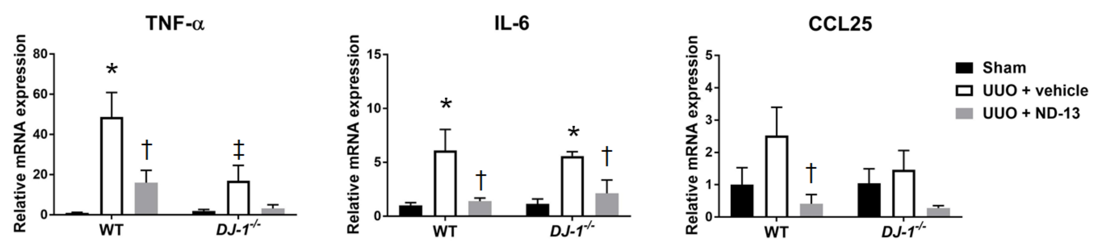 Ijms 21 07048 g005 Ijms 21 07048 g005