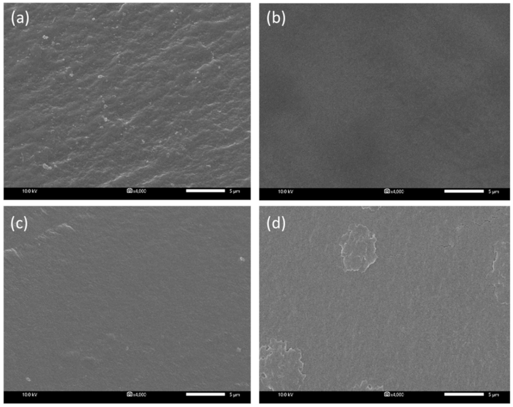 Ijms 21 07052 g001 Ijms 21 07052 g001