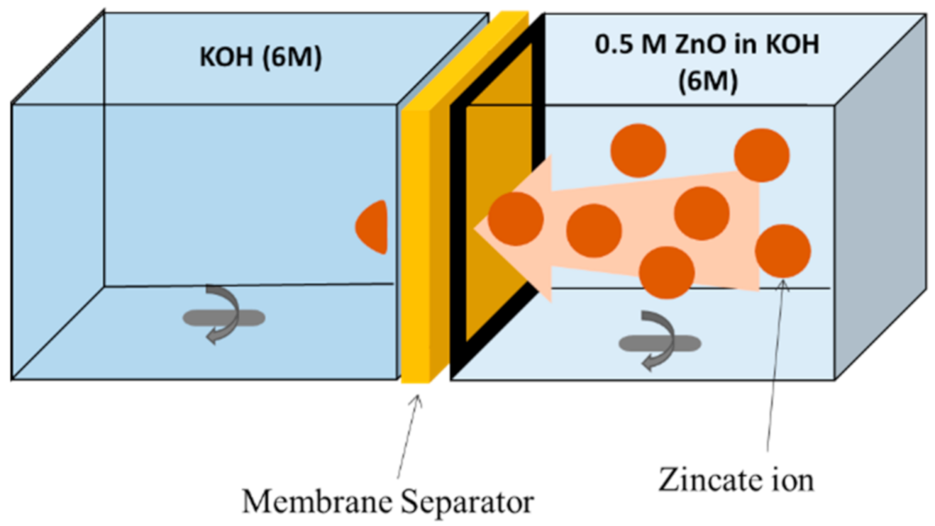 Ijms 21 07052 g007 Ijms 21 07052 g007