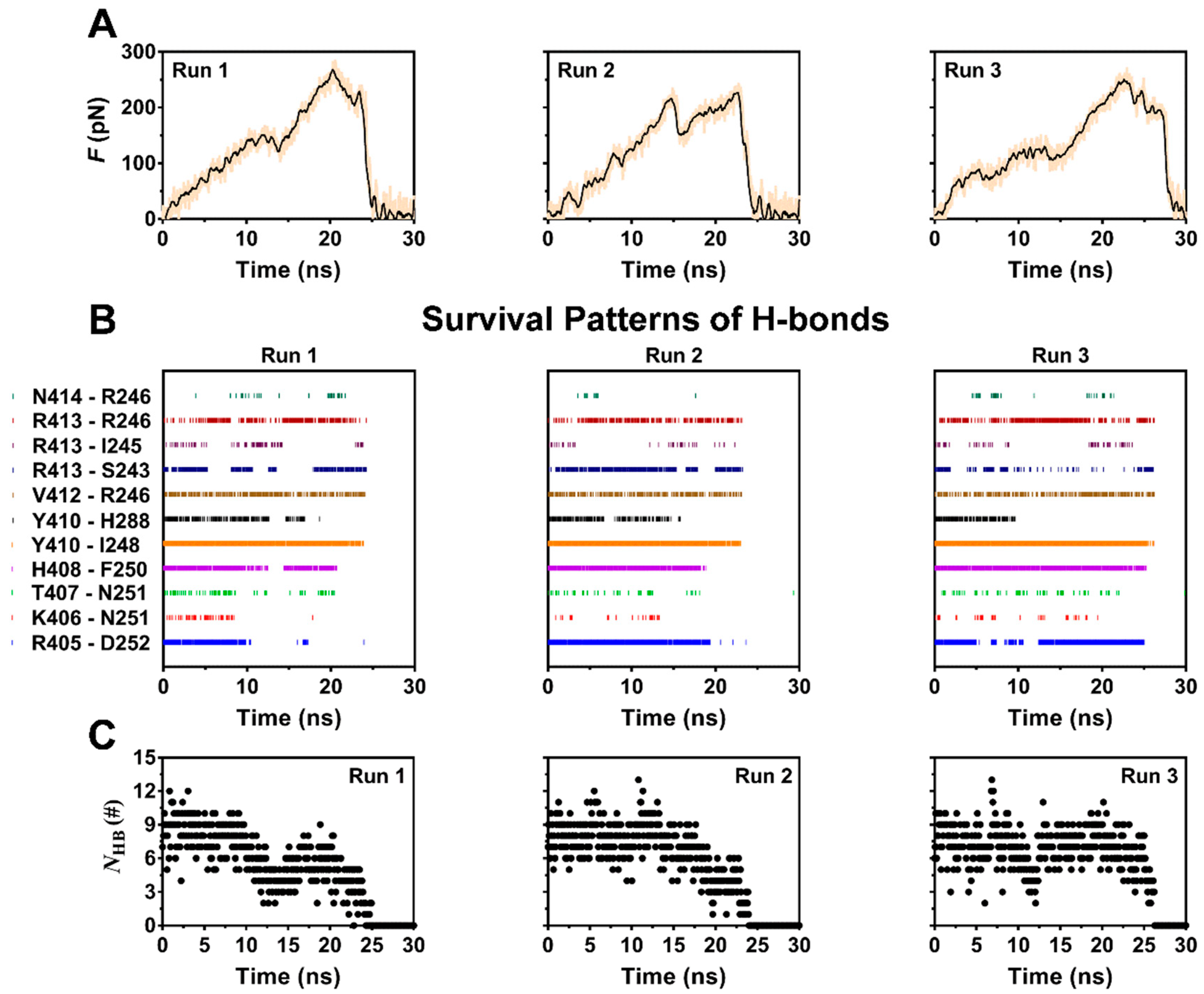 Ijms 21 07064 g003 Ijms 21 07064 g003