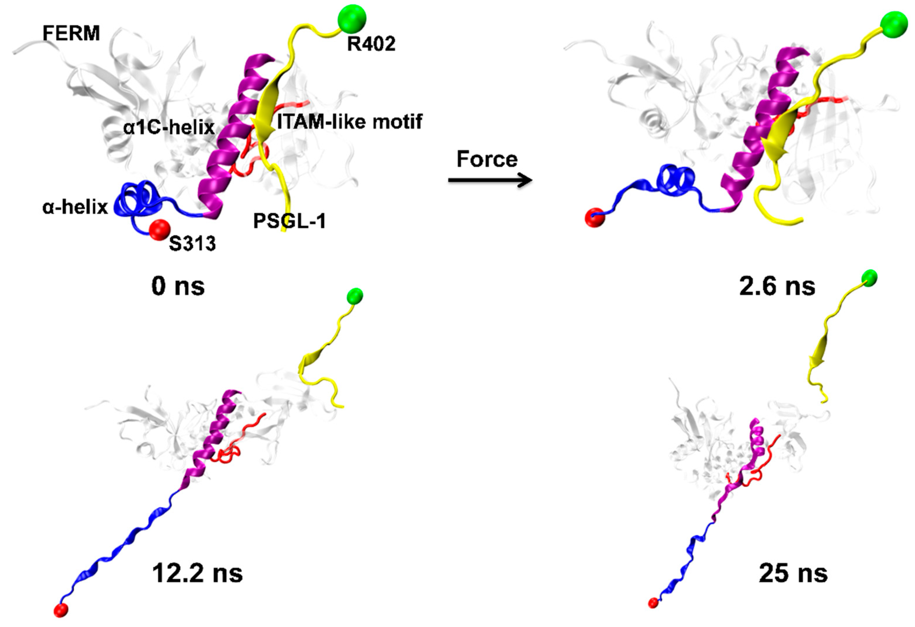 Ijms 21 07064 g004 Ijms 21 07064 g004