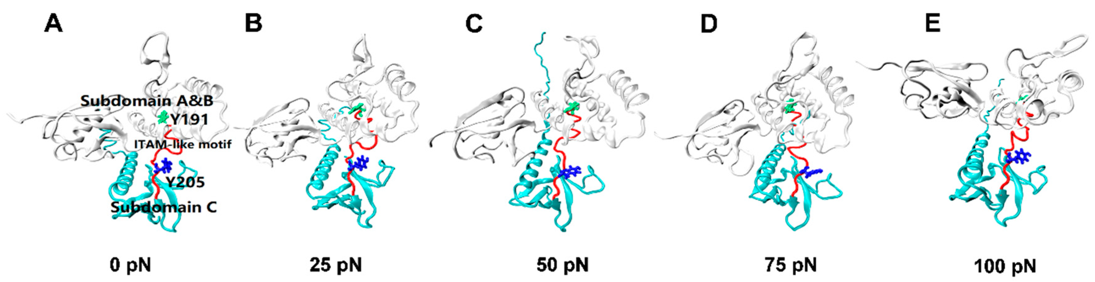 Ijms 21 07064 g006 Ijms 21 07064 g006
