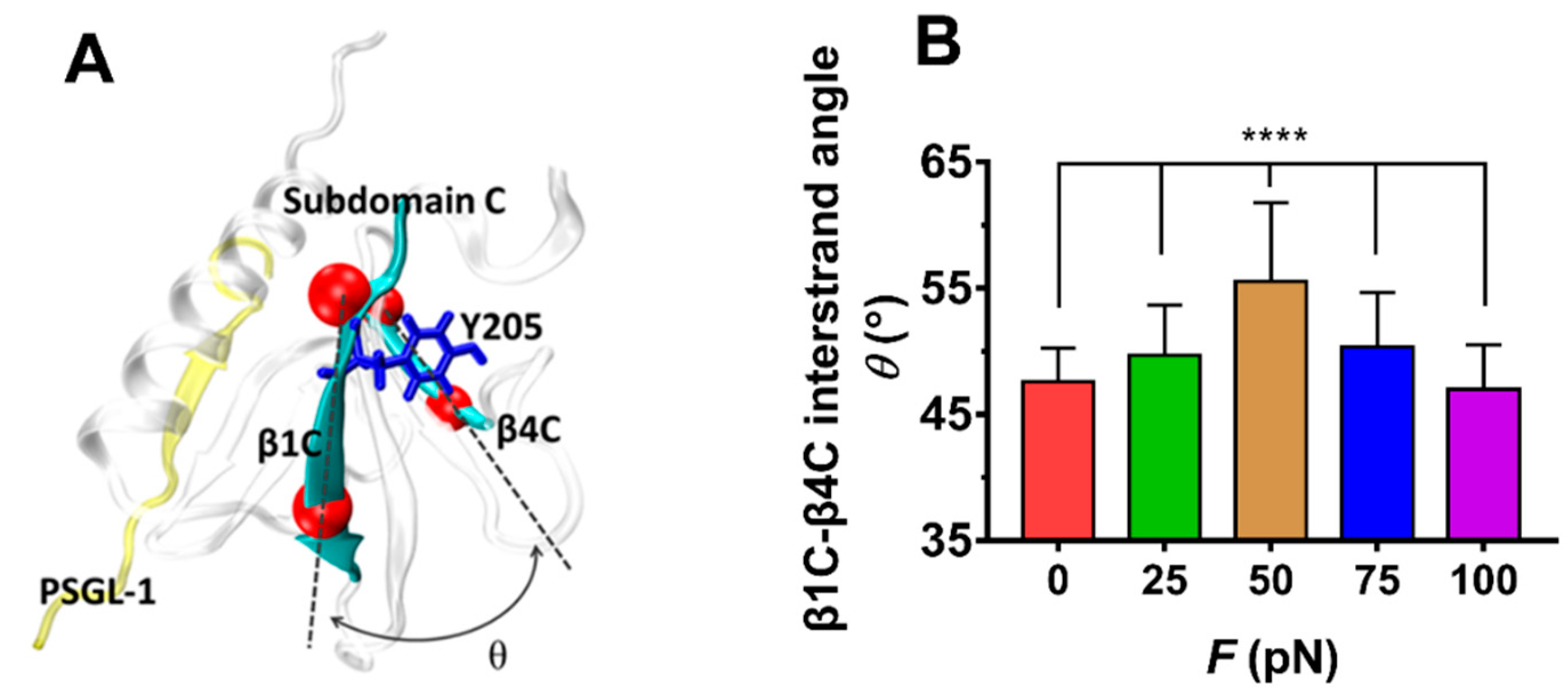 Ijms 21 07064 g009 Ijms 21 07064 g009