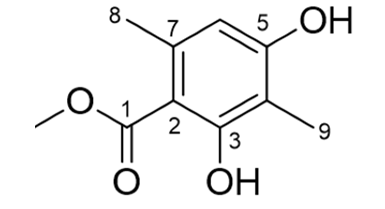 Ijms 21 07070 g002 Ijms 21 07070 g002