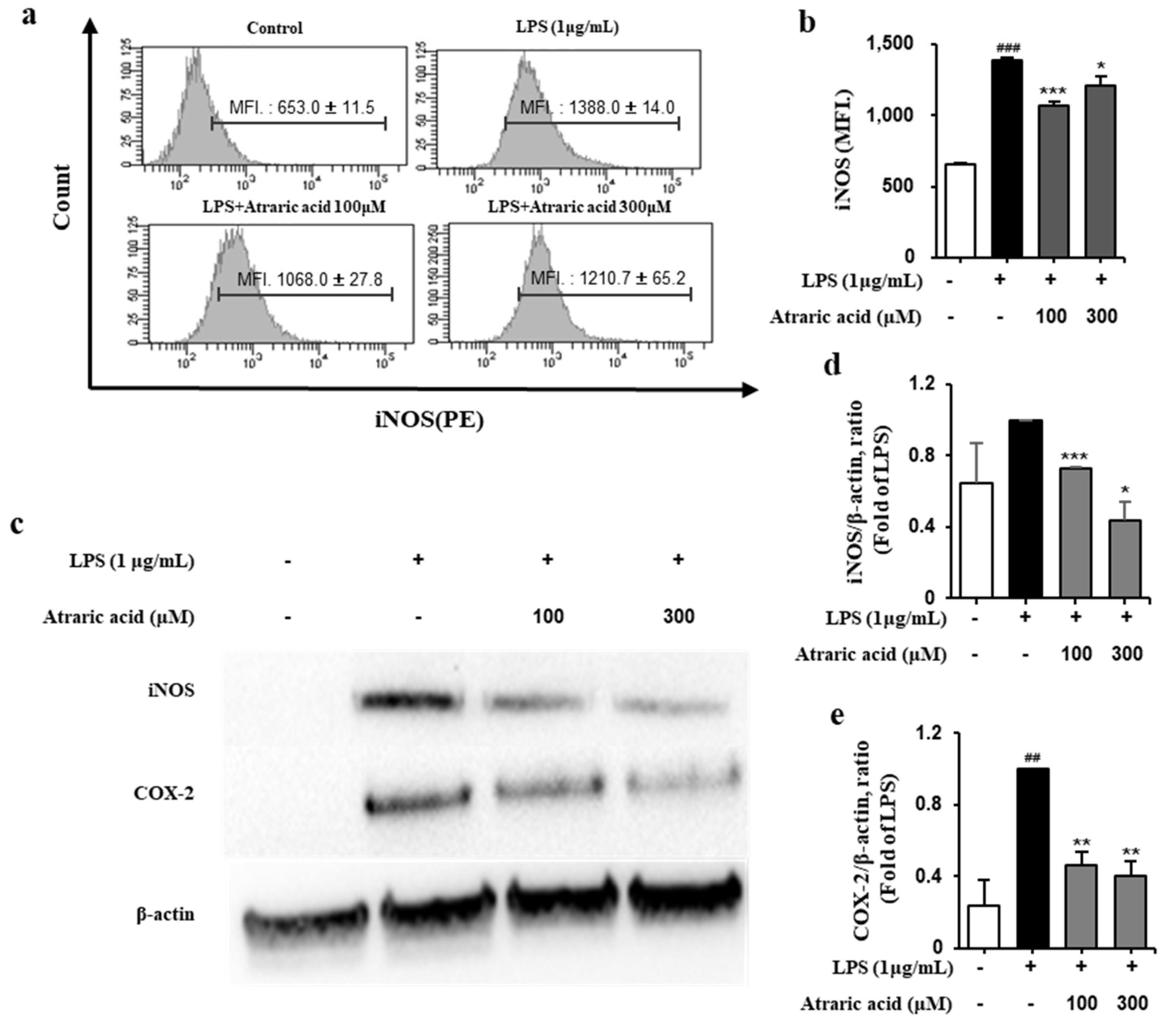 Ijms 21 07070 g005 Ijms 21 07070 g005