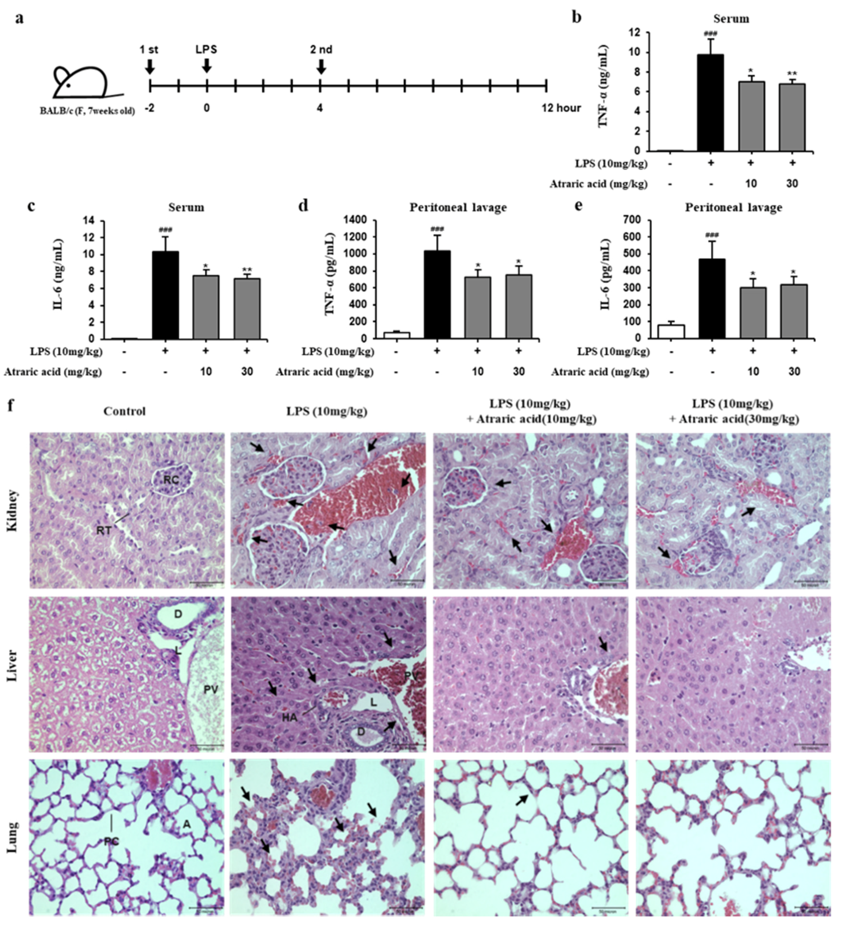 Ijms 21 07070 g007 Ijms 21 07070 g007