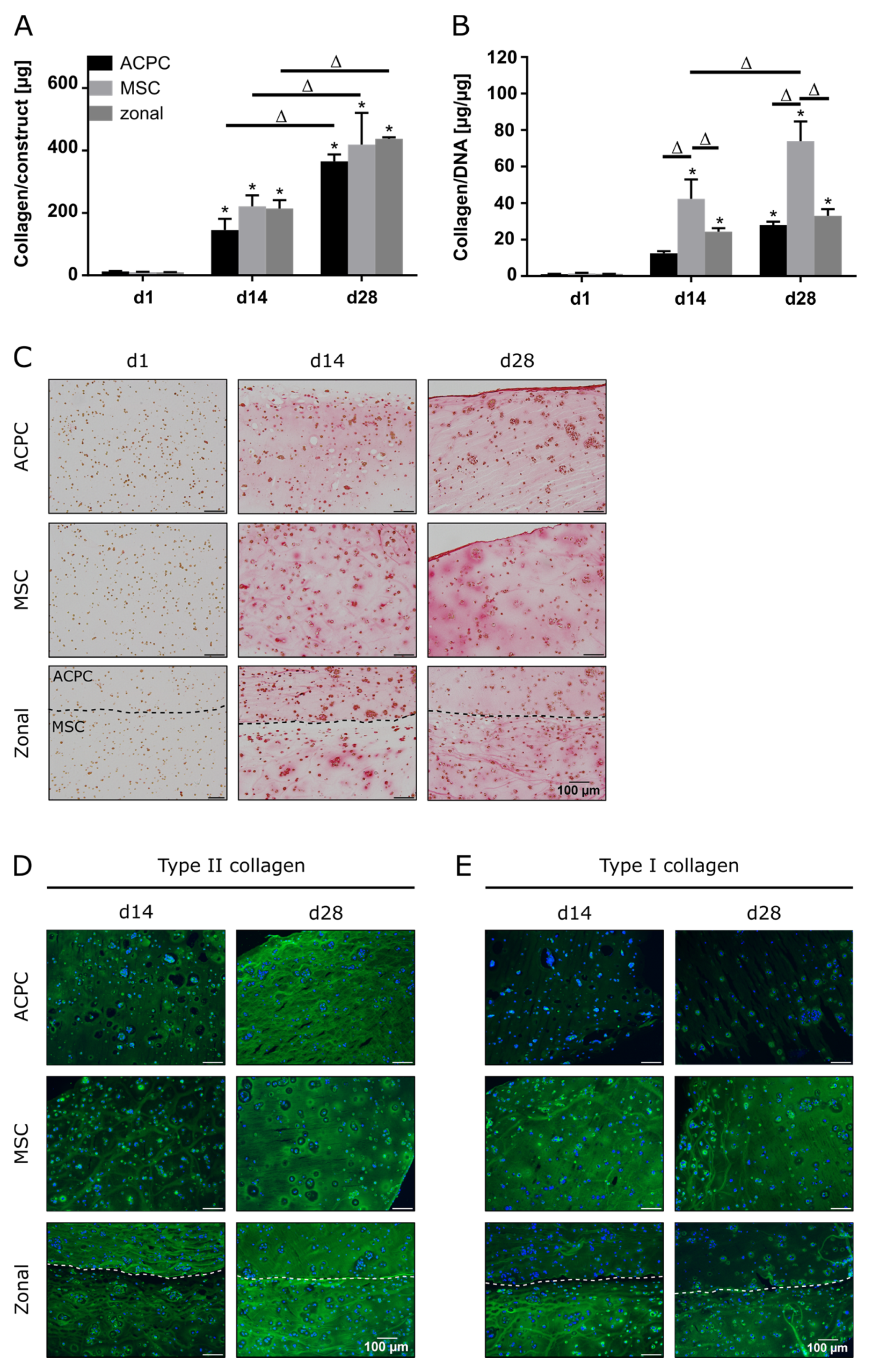 Ijms 21 07071 g002 Ijms 21 07071 g002