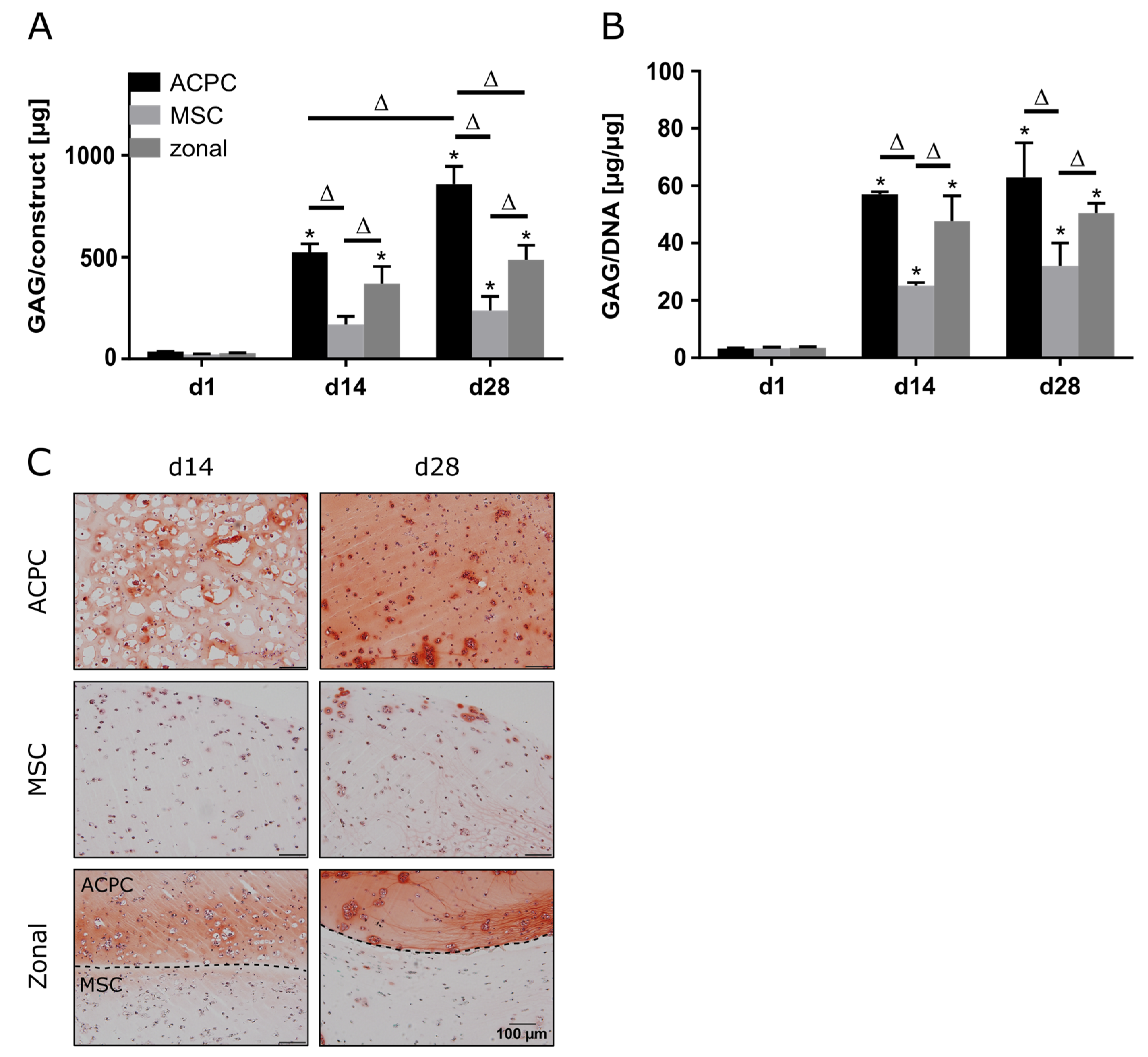 Ijms 21 07071 g003 Ijms 21 07071 g003