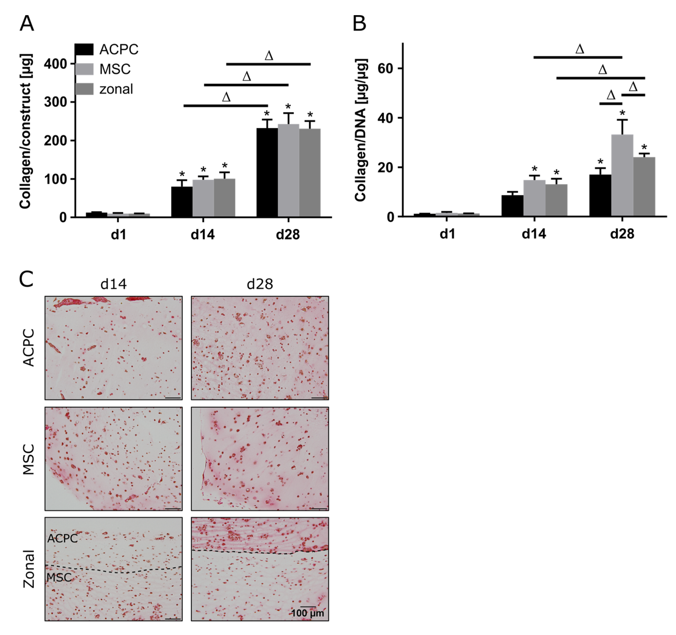 Ijms 21 07071 g004a Ijms 21 07071 g004a