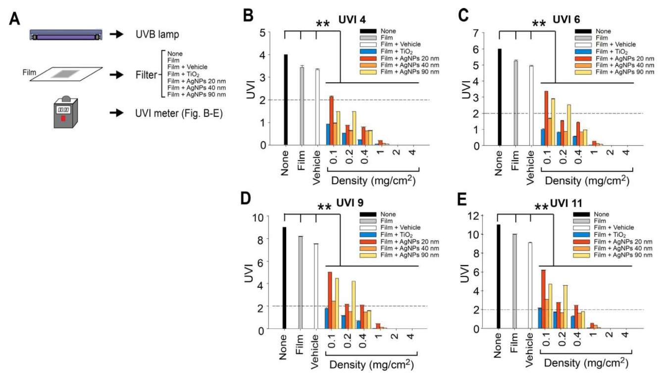 Ijms 21 07082 g001 Ijms 21 07082 g001
