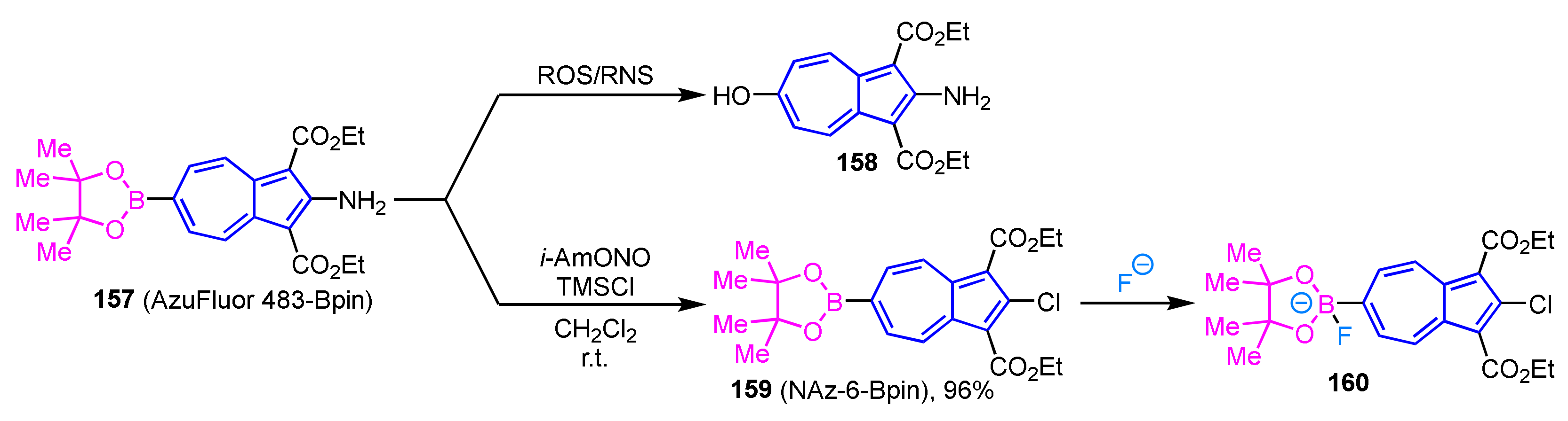 Ijms 21 07087 sch053 Ijms 21 07087 sch053