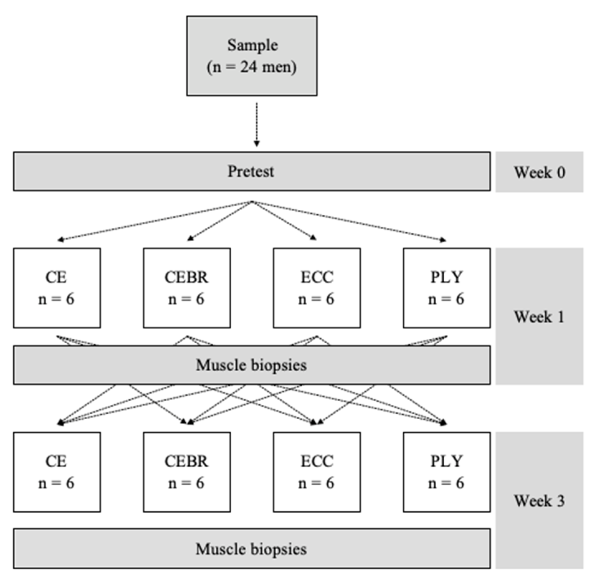 Ijms 21 07089 g002 Ijms 21 07089 g002