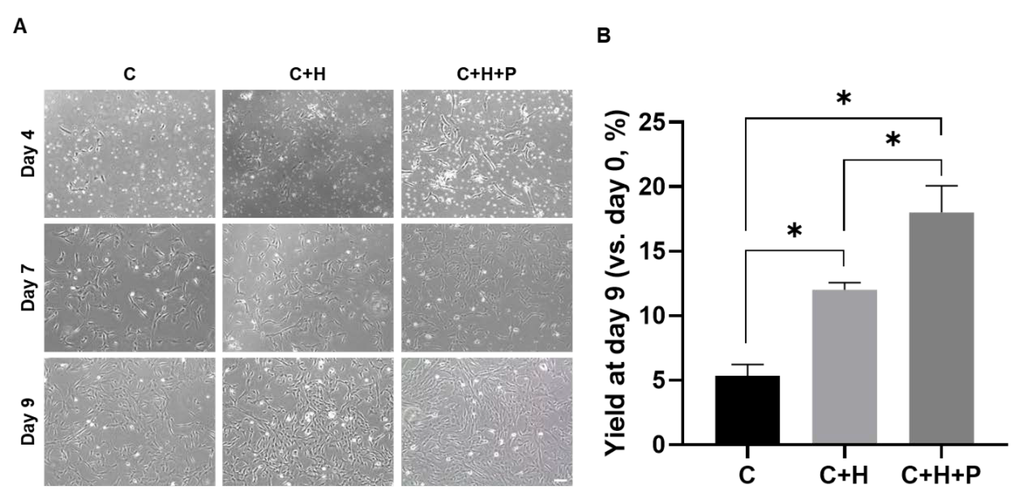 Ijms 21 07092 g001 Ijms 21 07092 g001