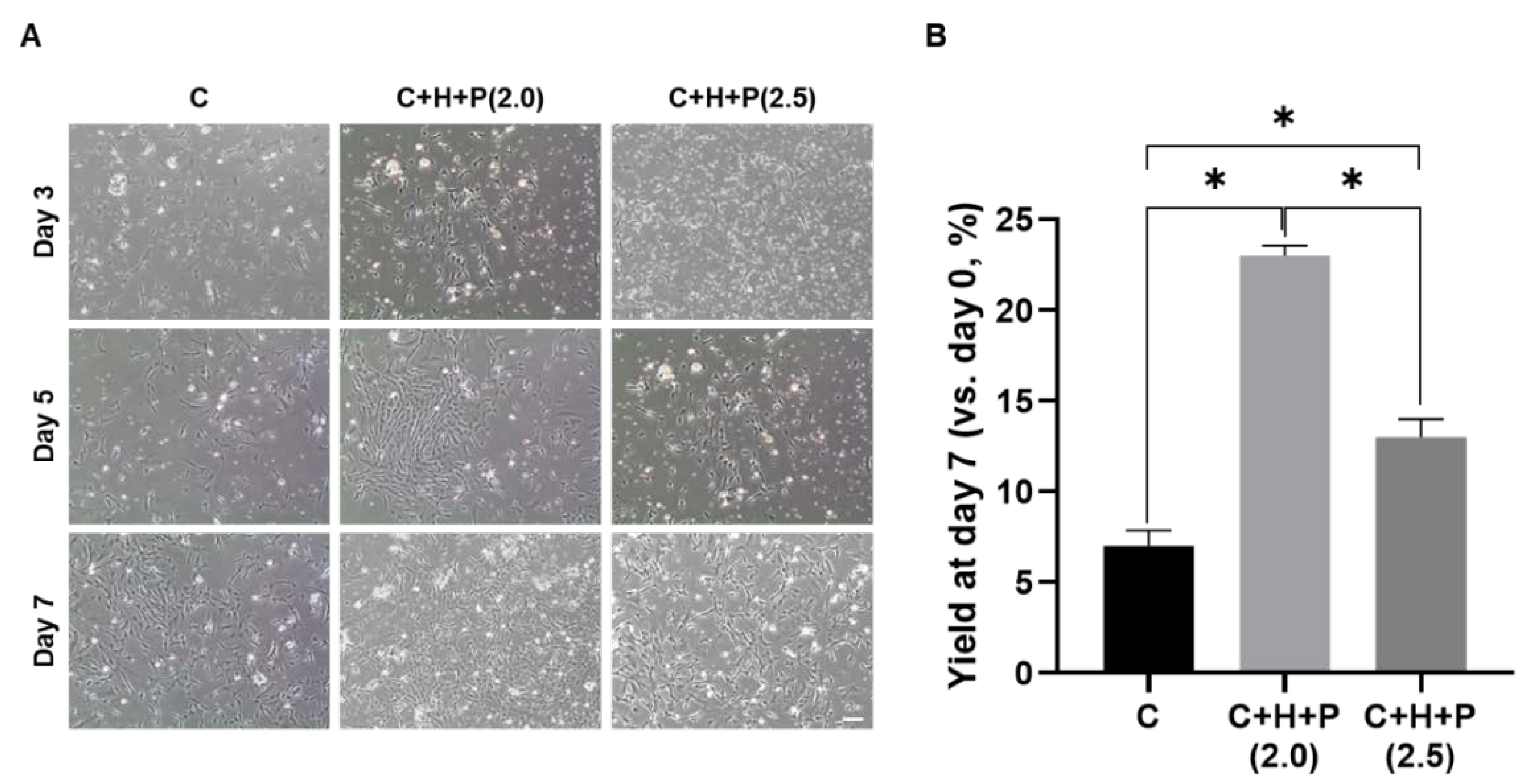 Ijms 21 07092 g002 Ijms 21 07092 g002