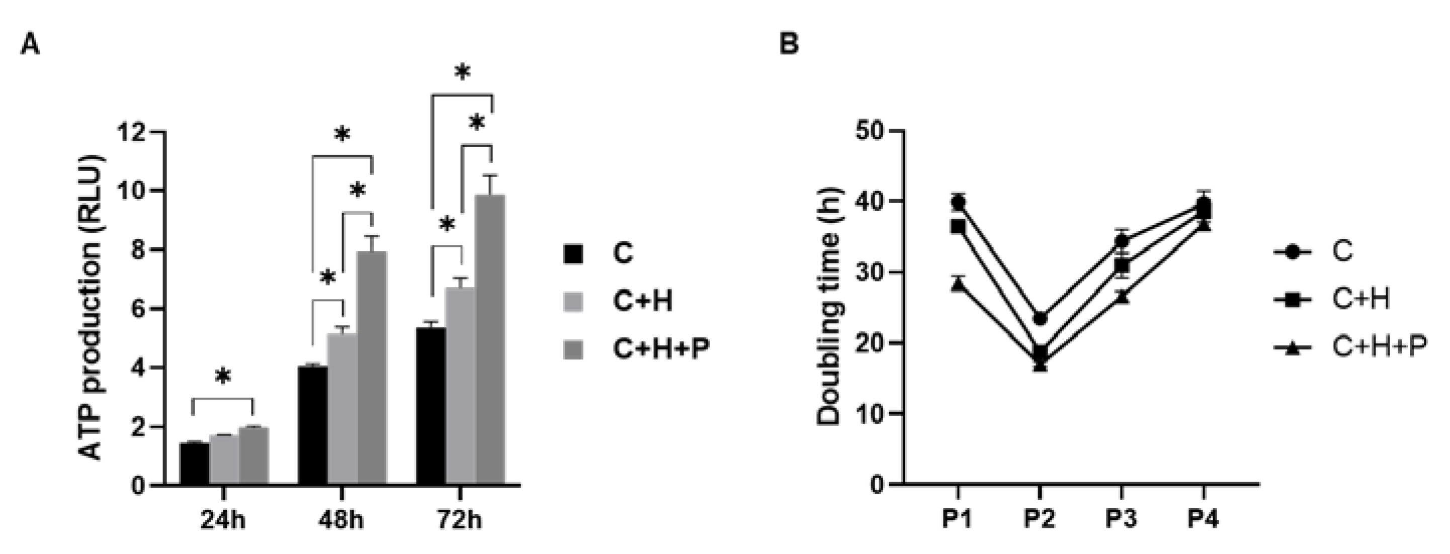 Ijms 21 07092 g003 Ijms 21 07092 g003