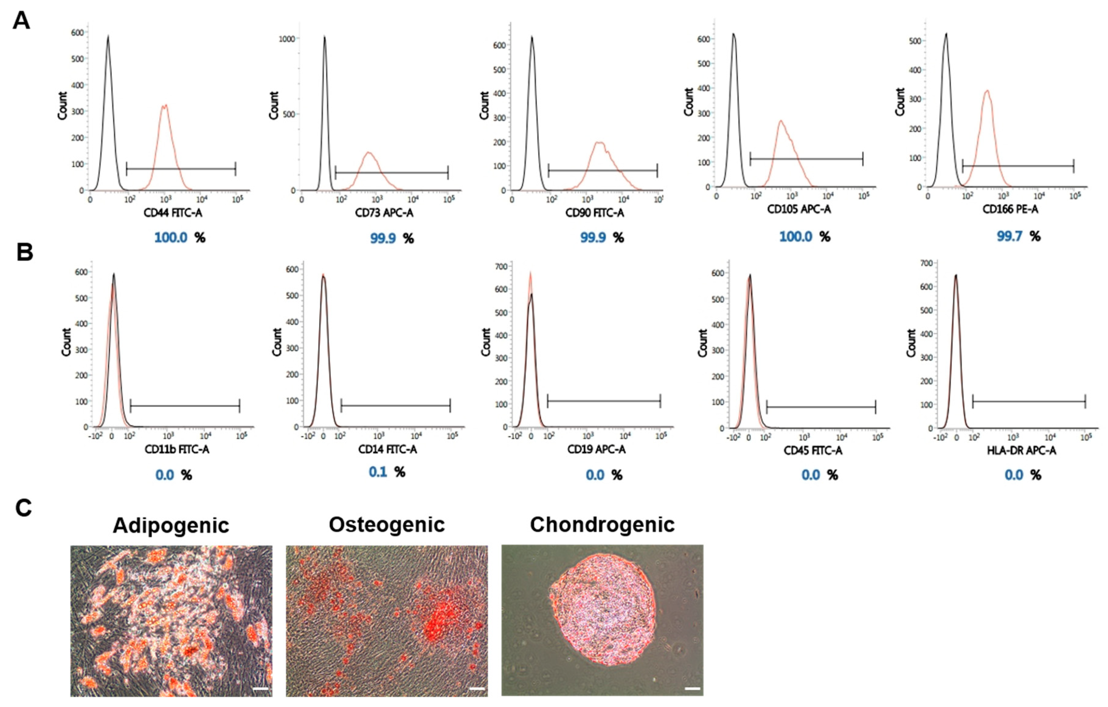 Ijms 21 07092 g004 Ijms 21 07092 g004