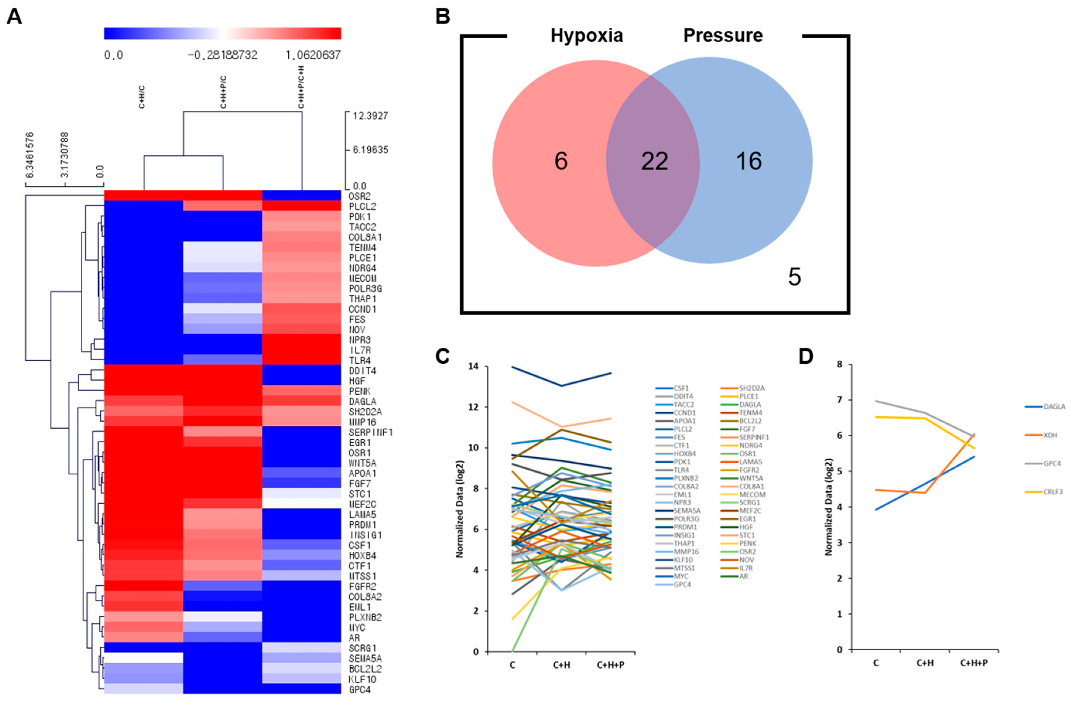 Ijms 21 07092 g005 Ijms 21 07092 g005