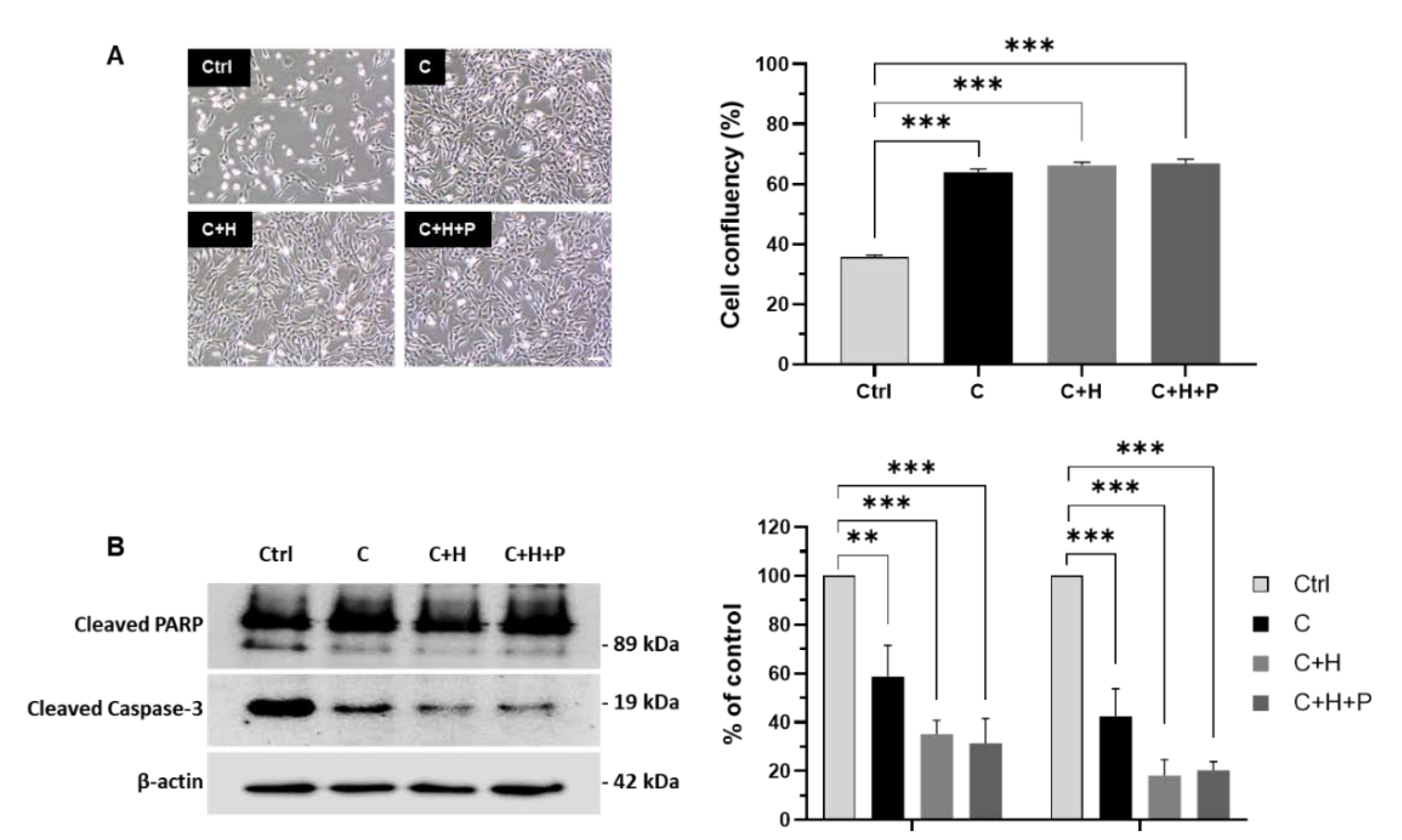 Ijms 21 07092 g006 Ijms 21 07092 g006