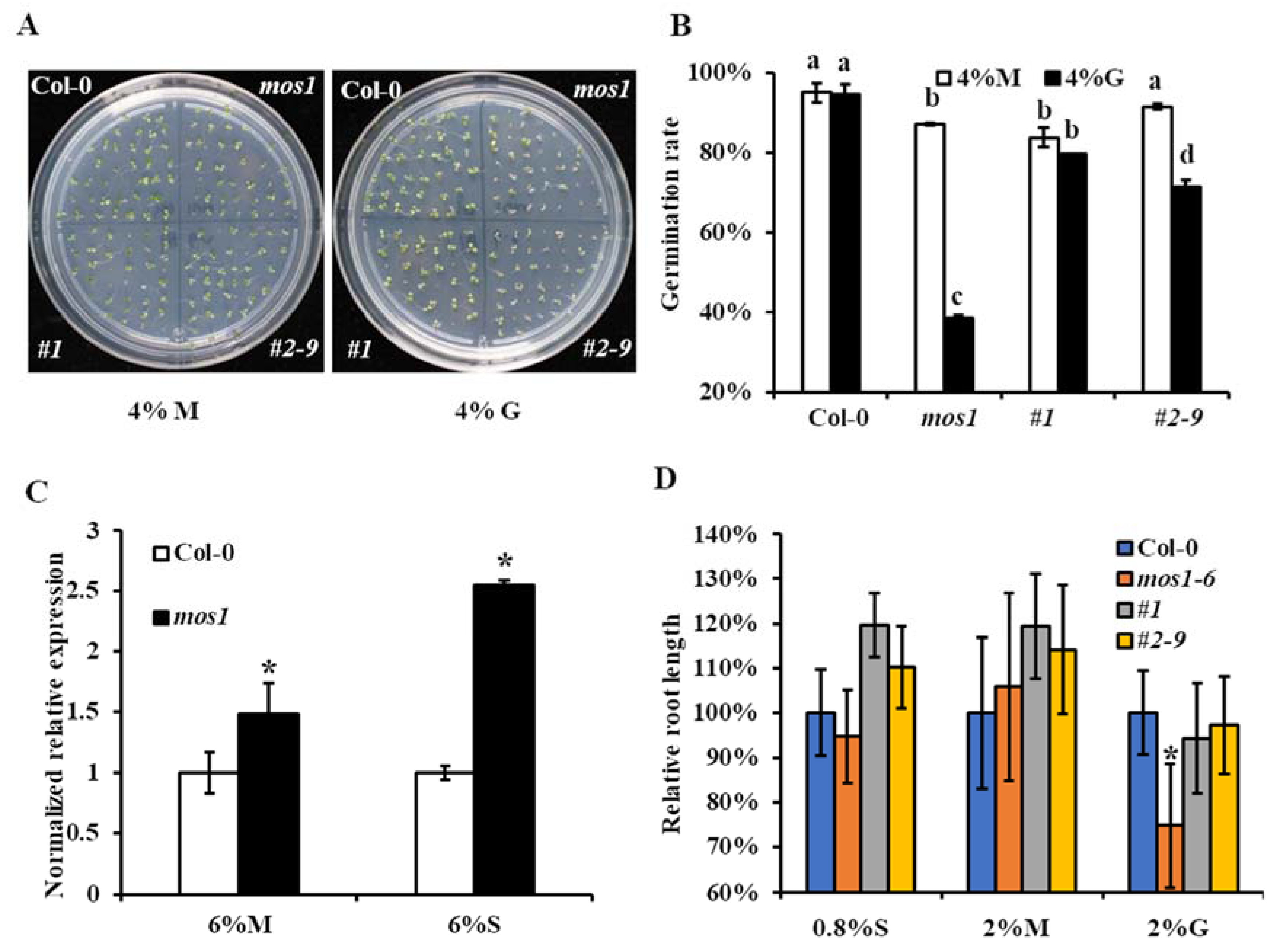 Ijms 21 07095 g001 Ijms 21 07095 g001