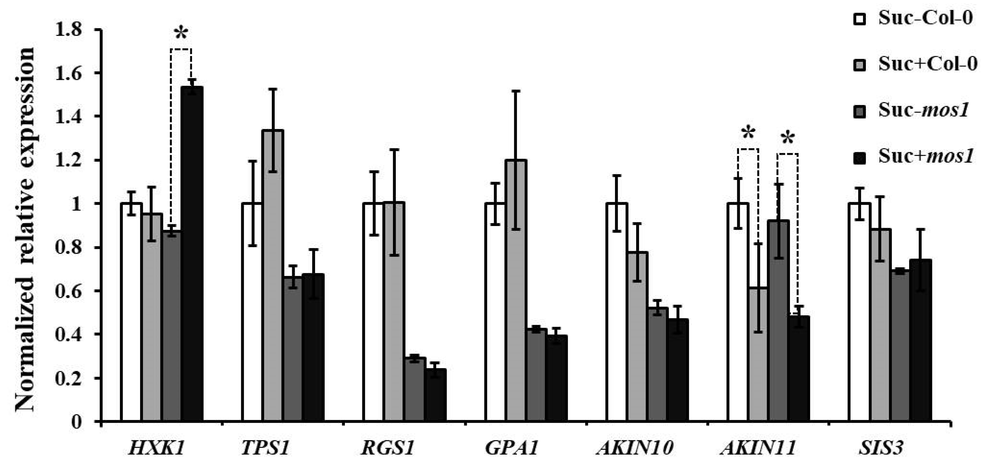 Ijms 21 07095 g003 Ijms 21 07095 g003