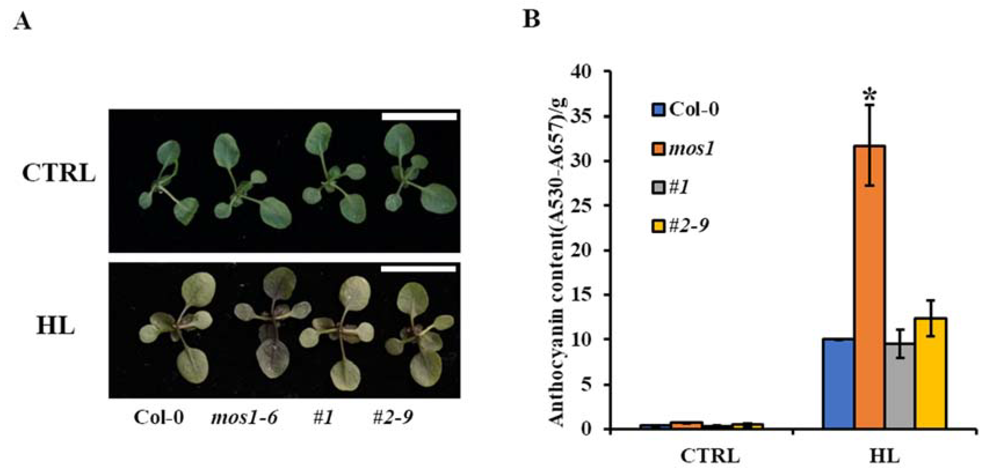 Ijms 21 07095 g005 Ijms 21 07095 g005