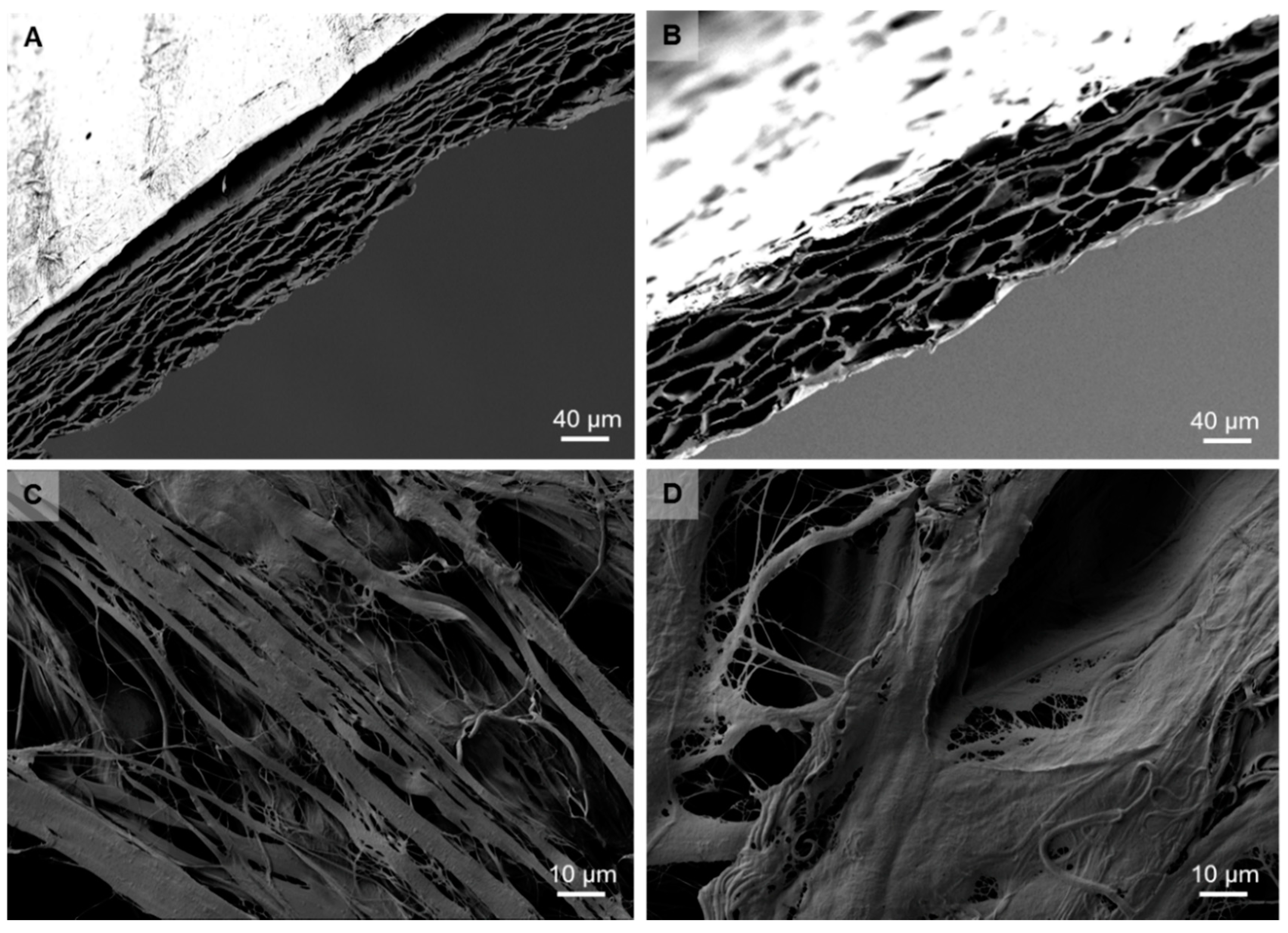 Ijms 21 07104 g001 Ijms 21 07104 g001