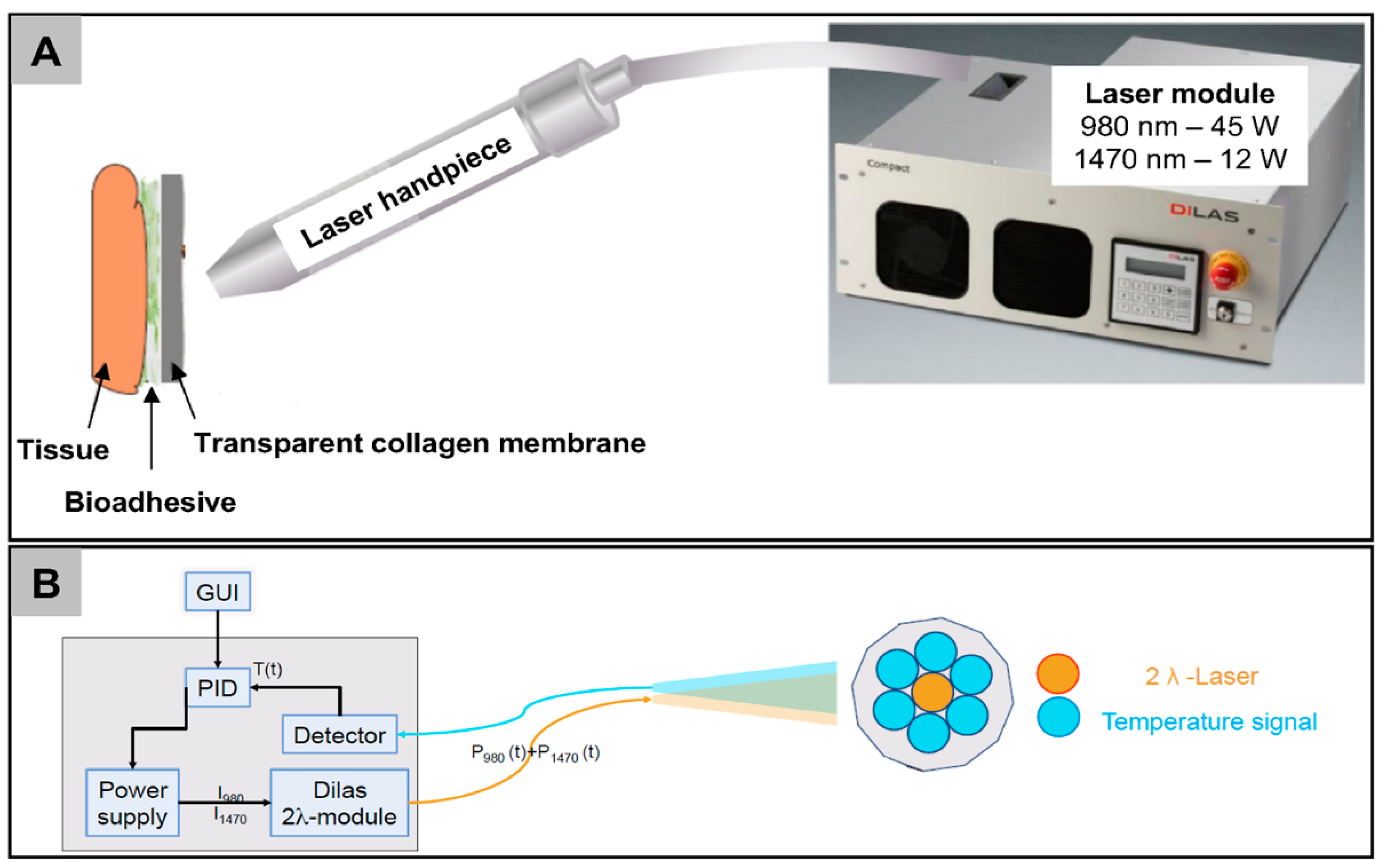 Ijms 21 07104 g006 Ijms 21 07104 g006
