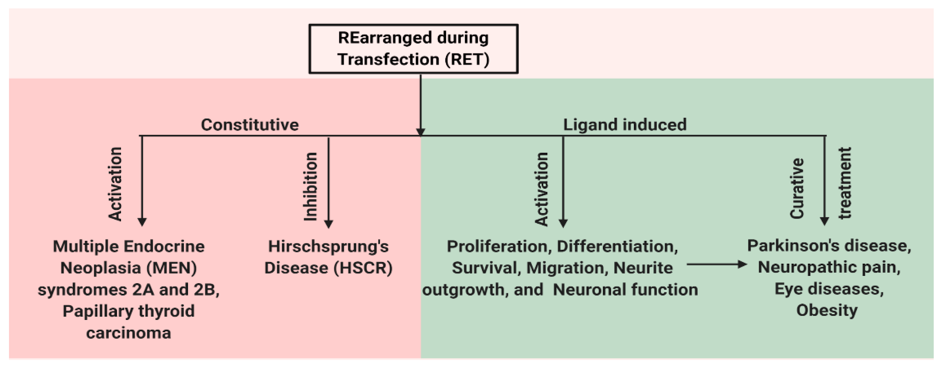 Ijms 21 07108 g002 Ijms 21 07108 g002