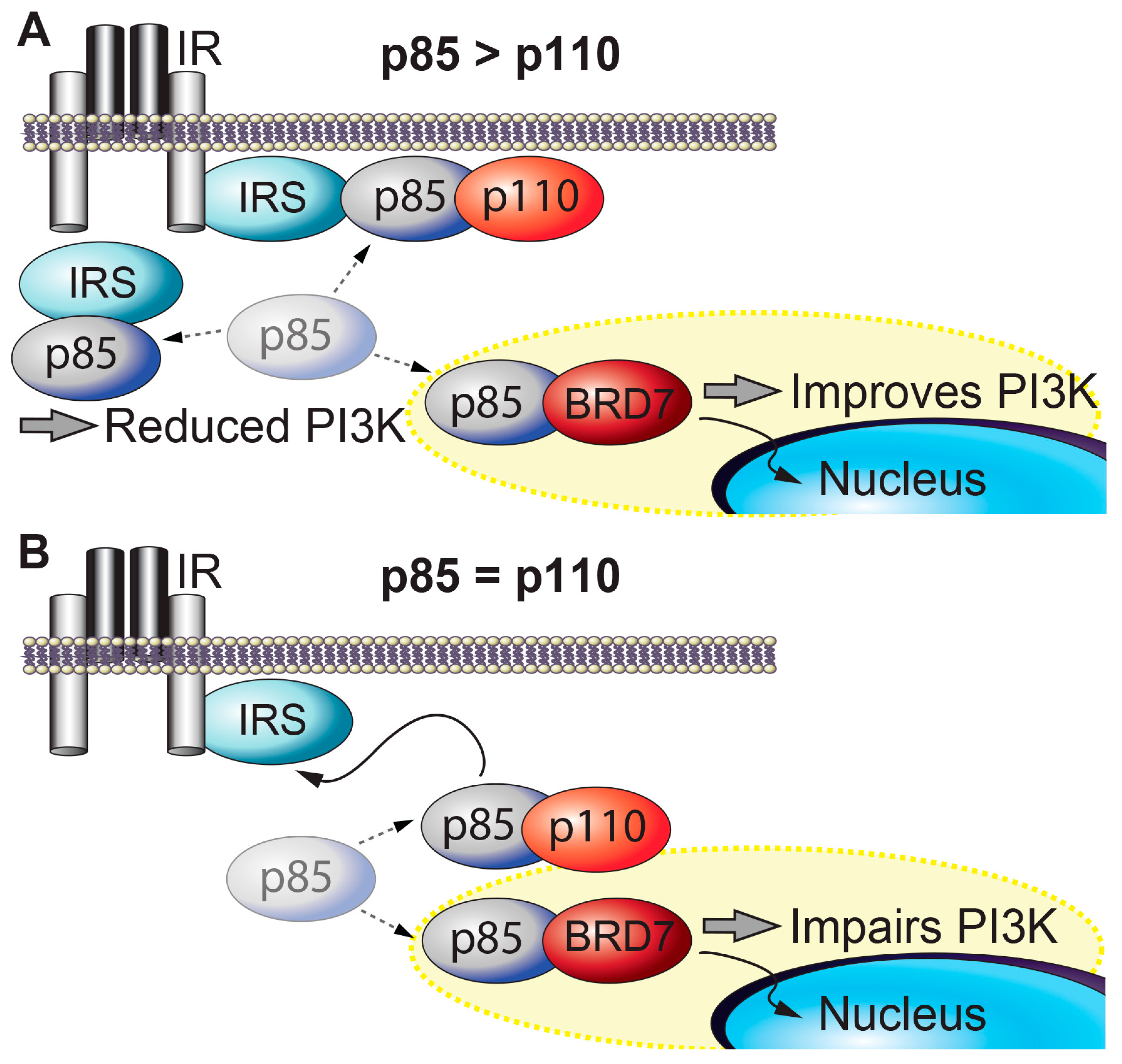 Ijms 21 07127 g001 Ijms 21 07127 g001