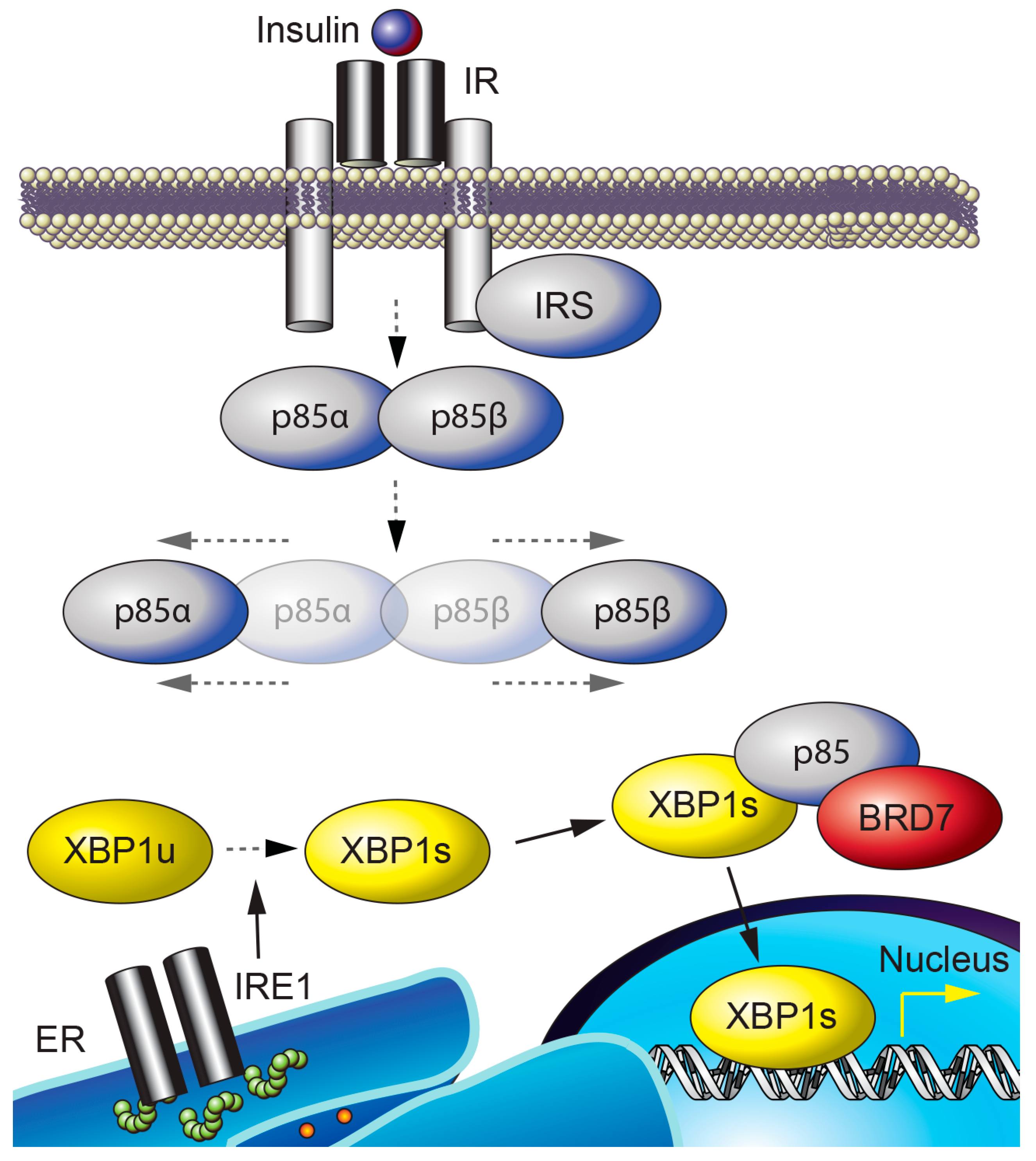 Ijms 21 07127 g002 Ijms 21 07127 g002