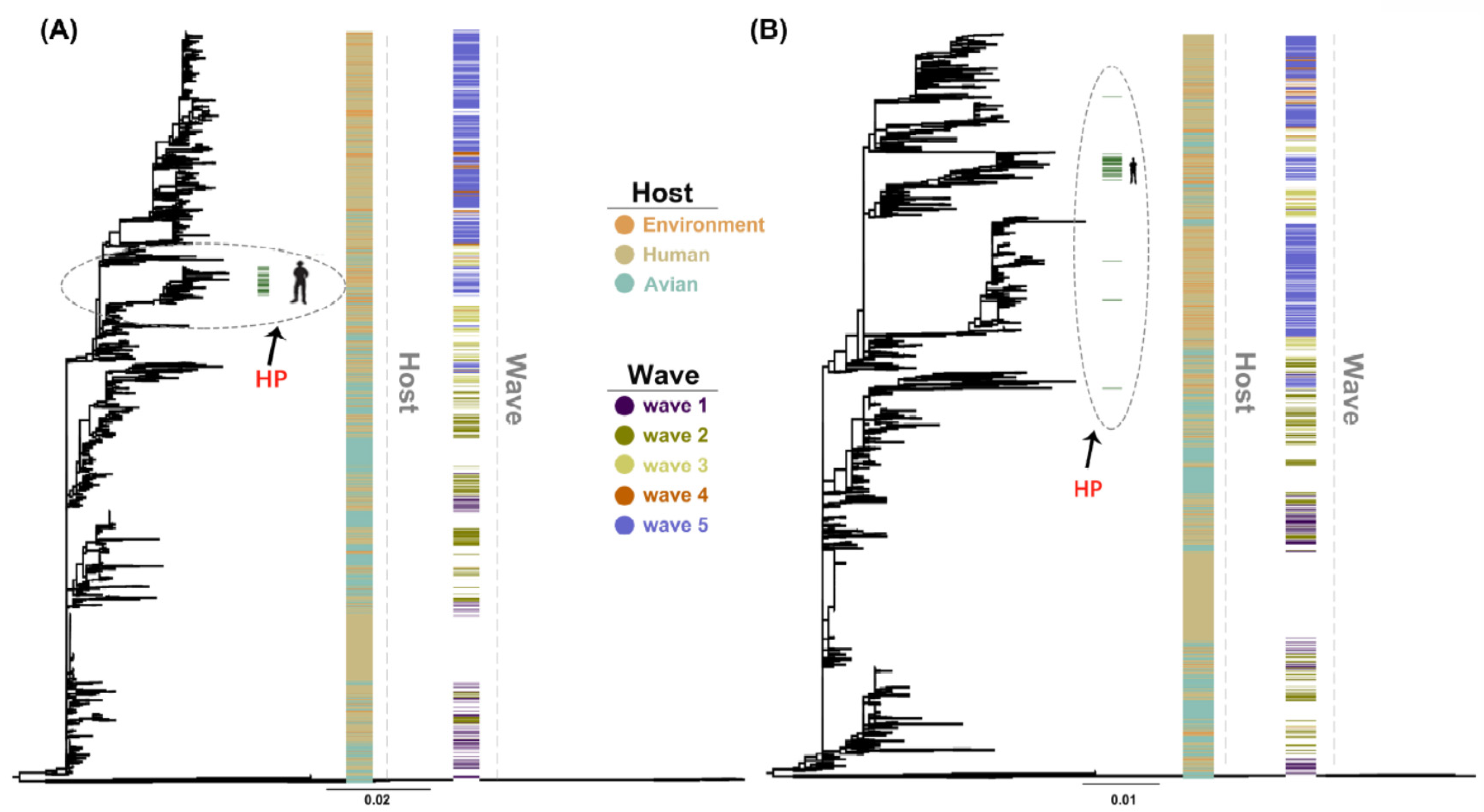Ijms 21 07129 g001 Ijms 21 07129 g001