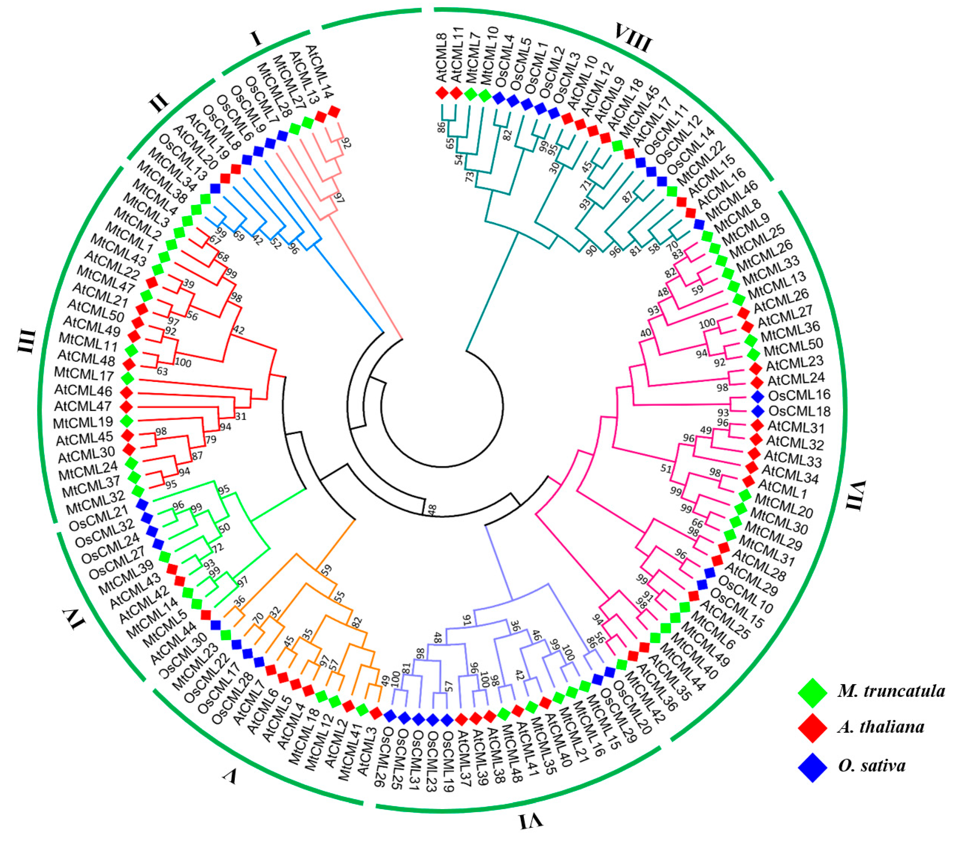 Ijms 21 07142 g001 Ijms 21 07142 g001