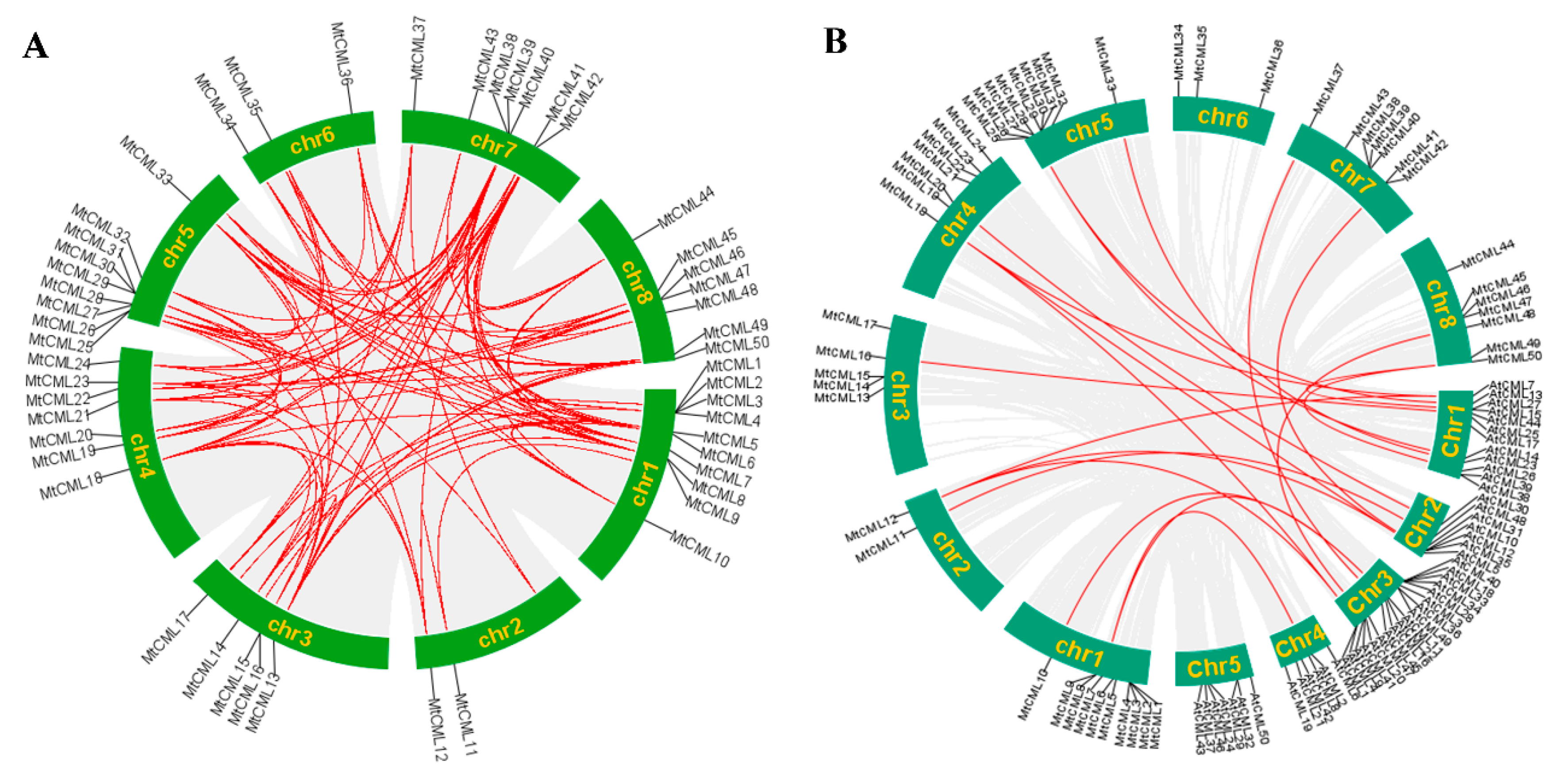 Ijms 21 07142 g003 Ijms 21 07142 g003