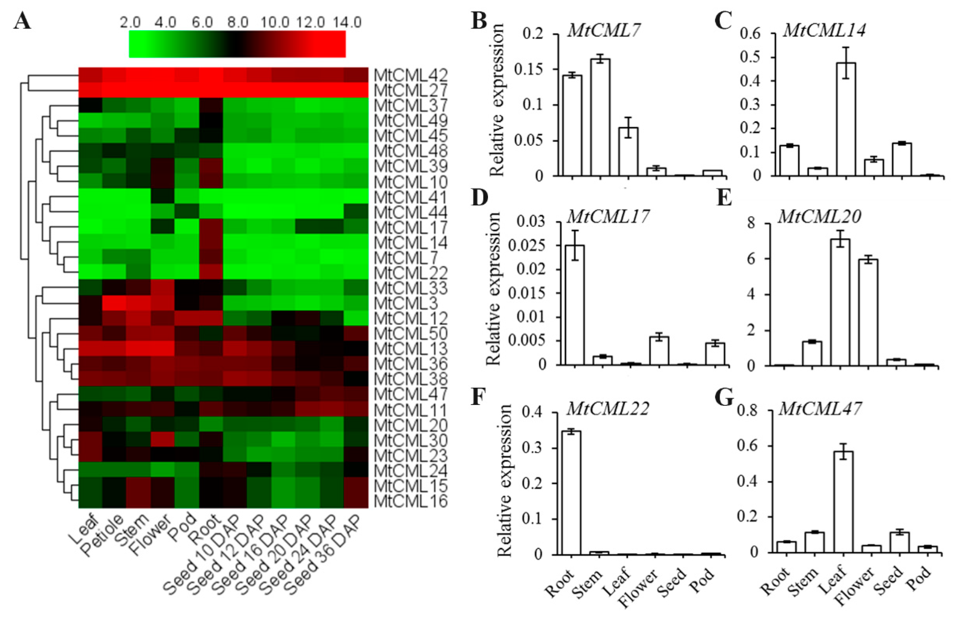 Ijms 21 07142 g004 Ijms 21 07142 g004