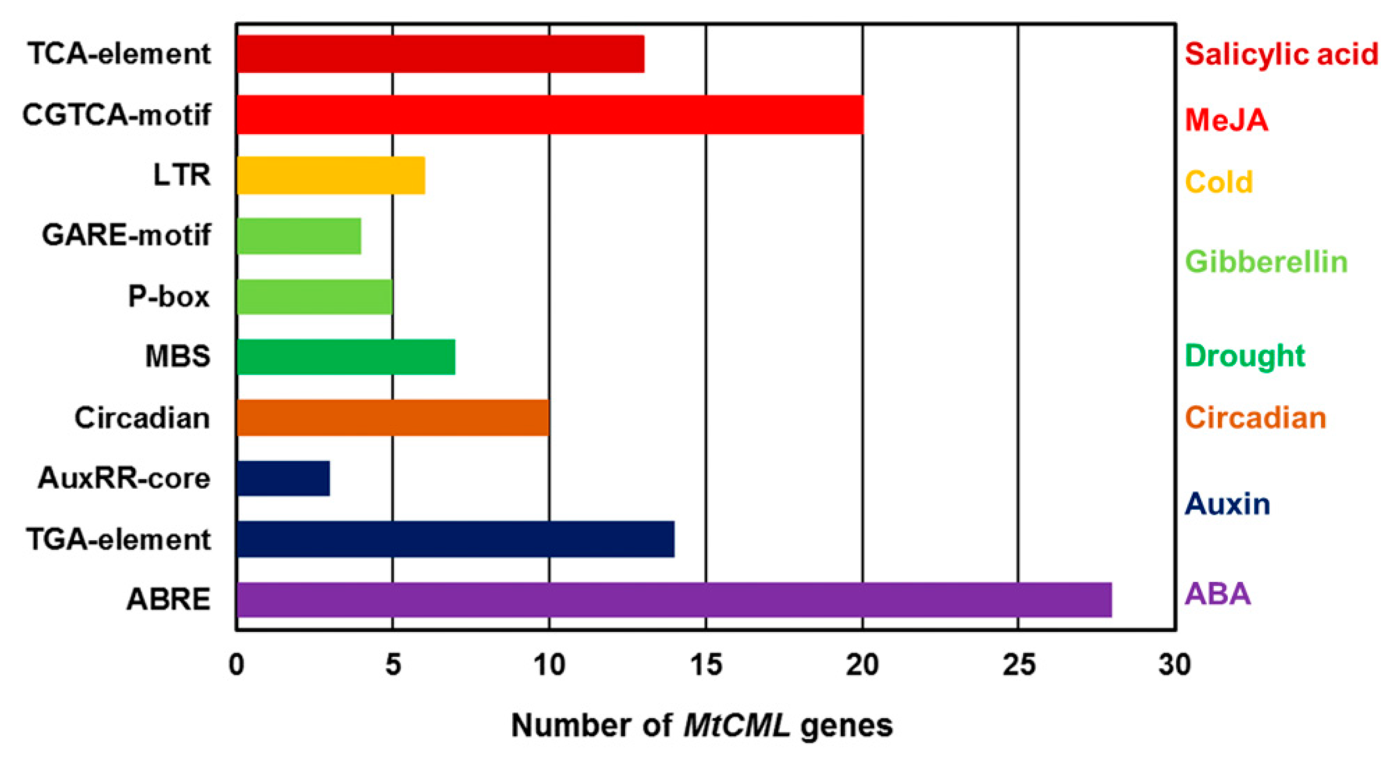 Ijms 21 07142 g005 Ijms 21 07142 g005
