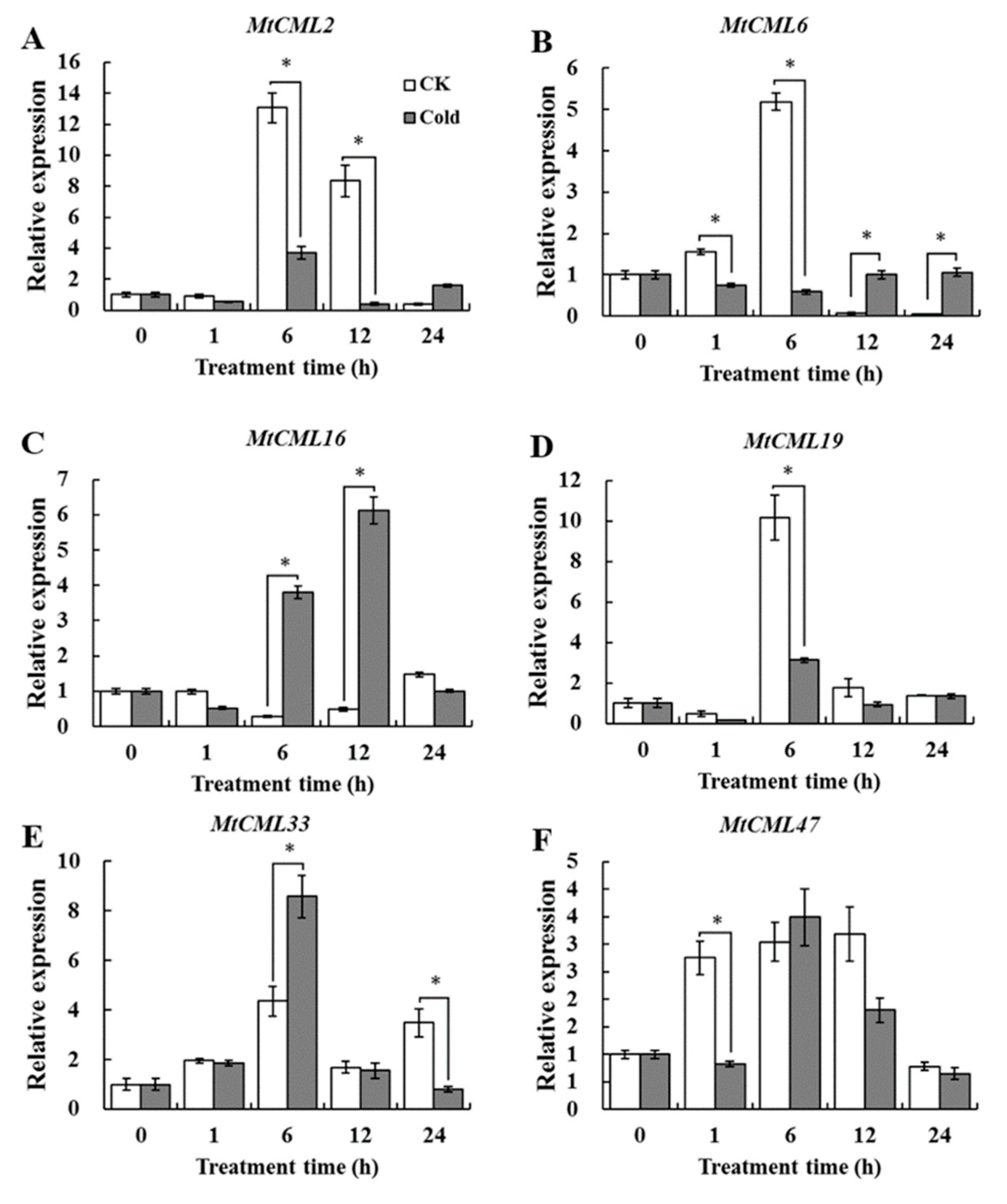 Ijms 21 07142 g007 Ijms 21 07142 g007