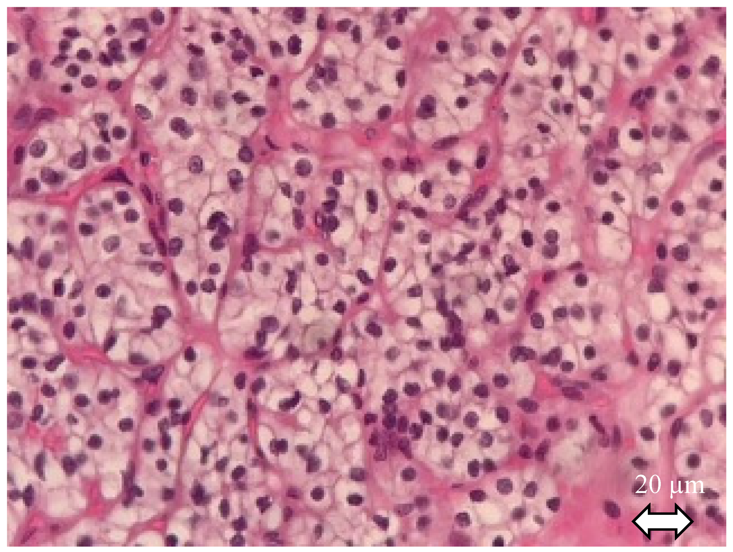 Ijms 21 07146 g001 Ijms 21 07146 g001