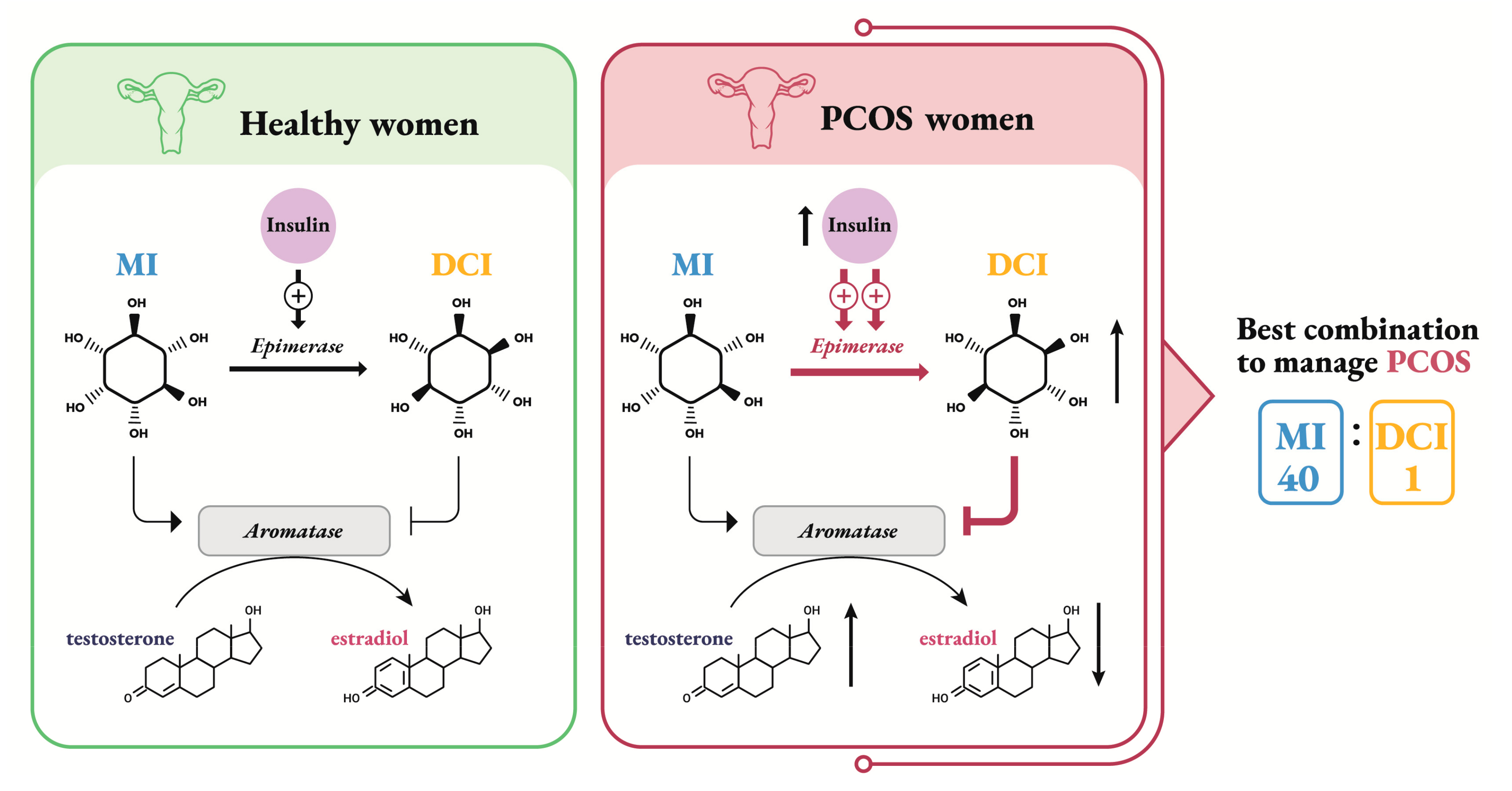 Ijms 21 07157 g001 Ijms 21 07157 g001