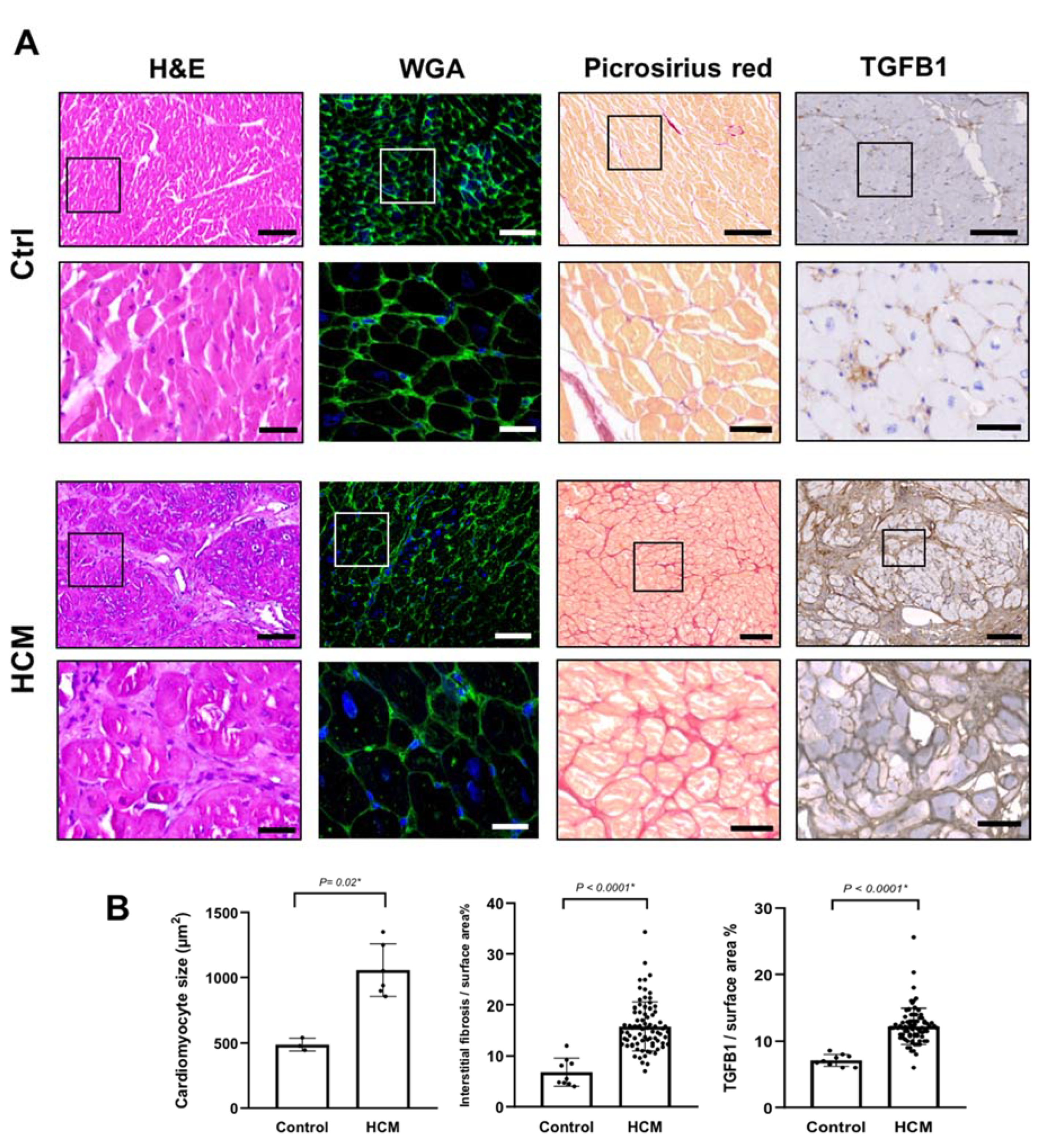 Ijms 21 07176 g001 Ijms 21 07176 g001