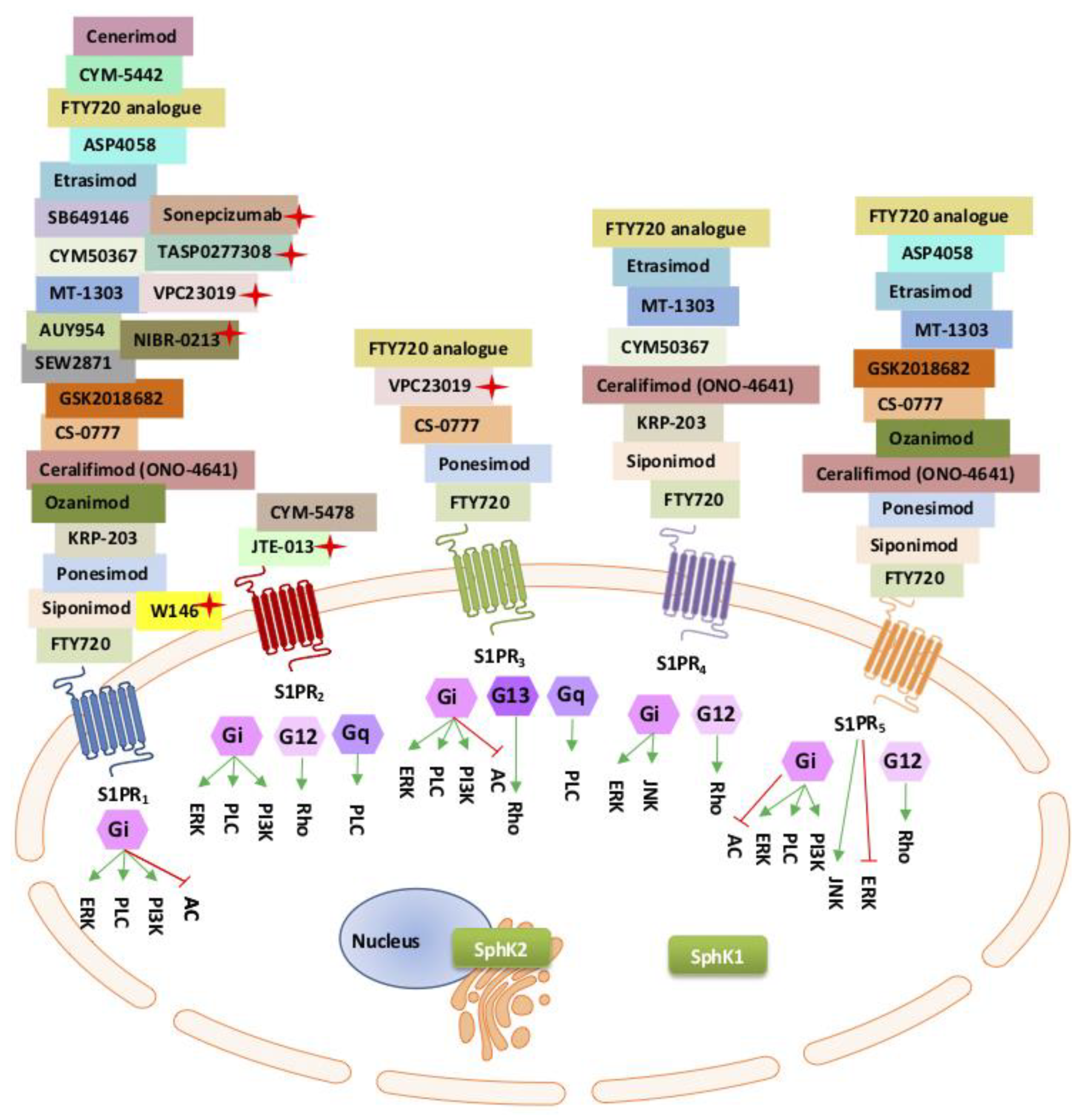 Ijms 21 07189 g001 Ijms 21 07189 g001