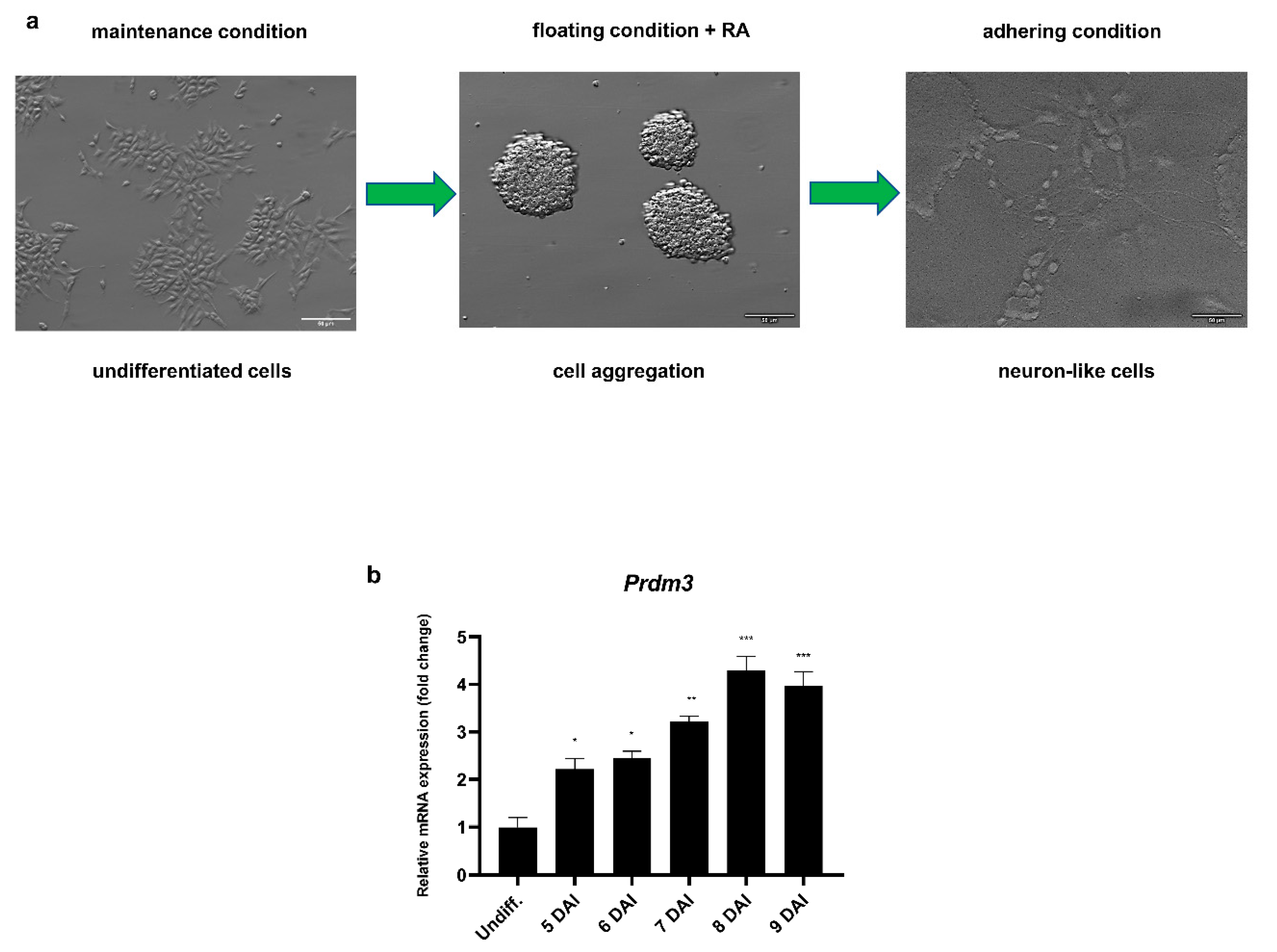Ijms 21 07192 g001 Ijms 21 07192 g001