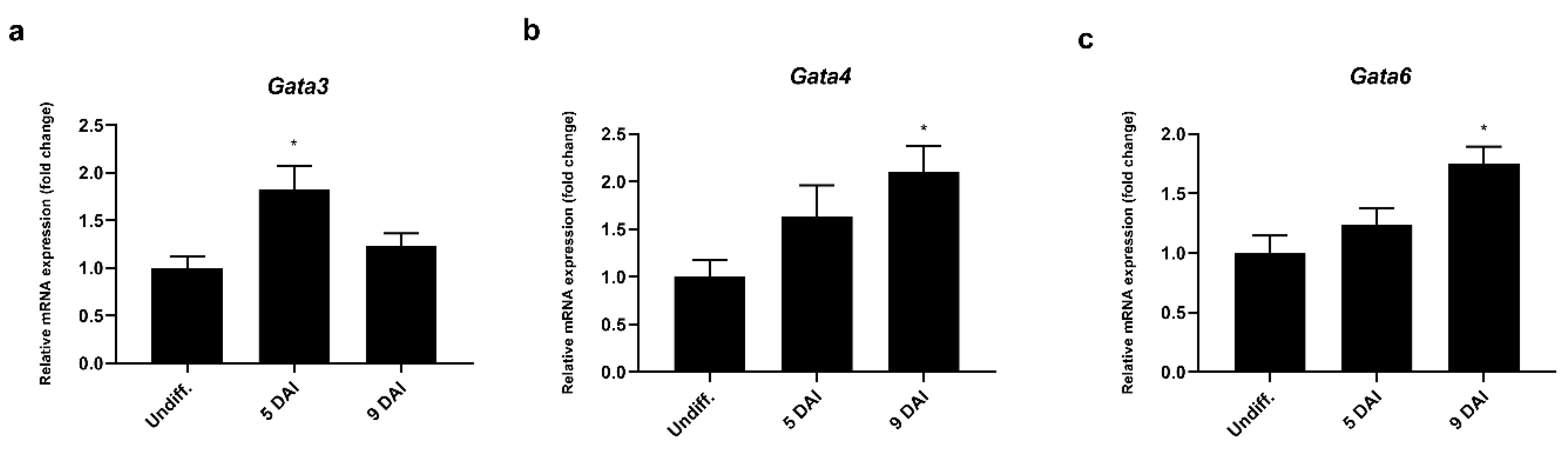 Ijms 21 07192 g005 Ijms 21 07192 g005