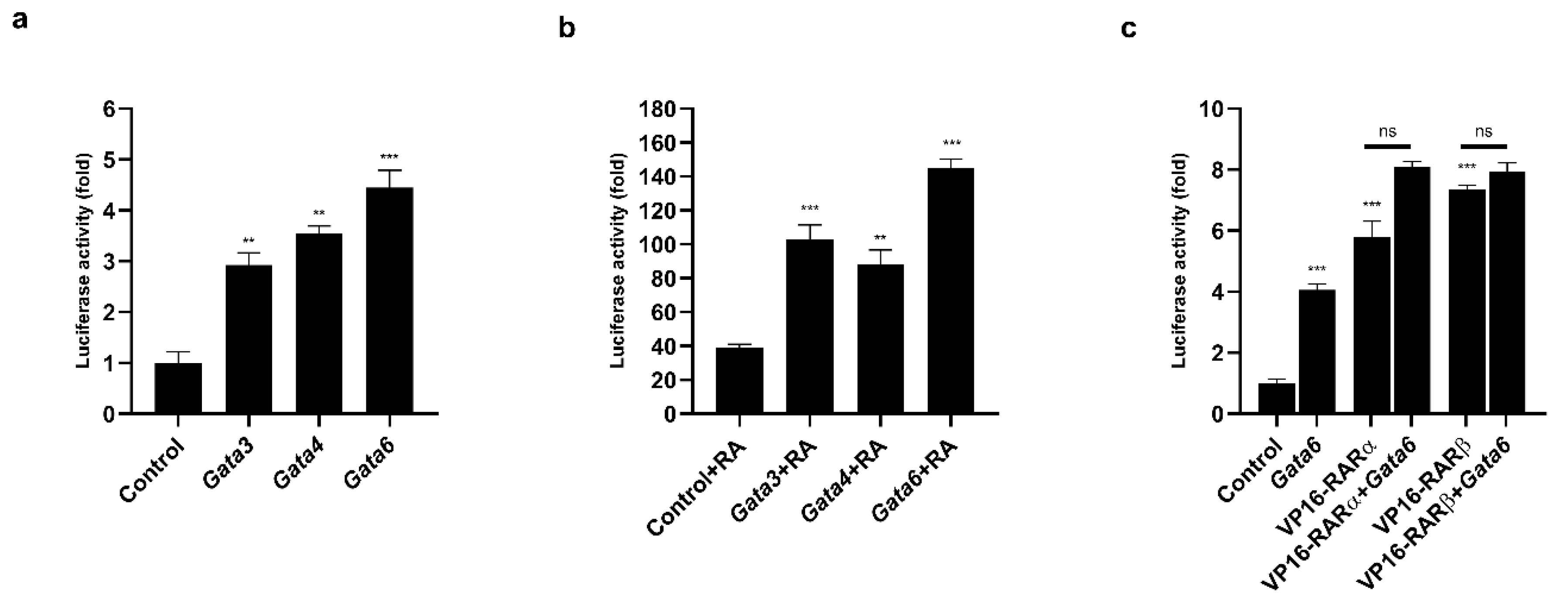 Ijms 21 07192 g006 Ijms 21 07192 g006