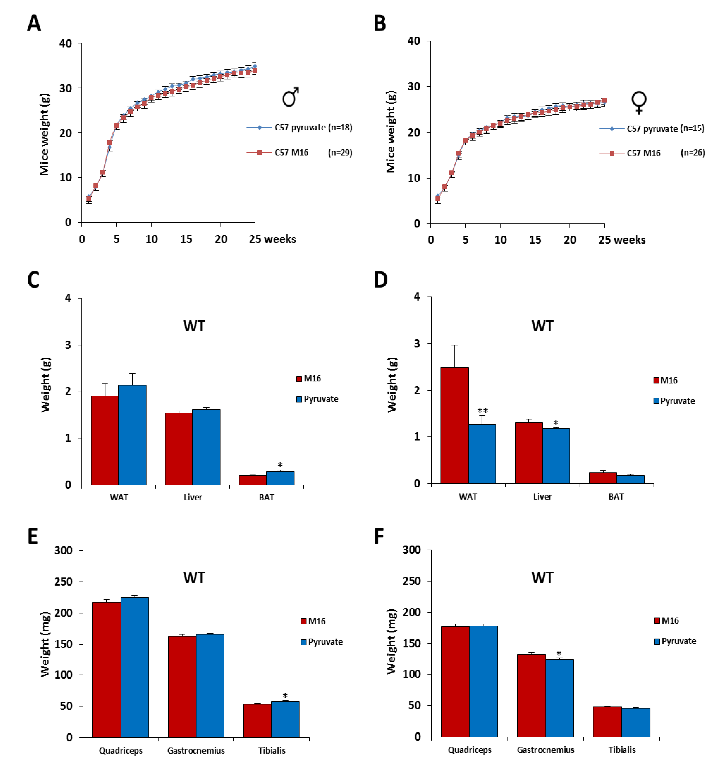 Ijms 21 07203 g002 Ijms 21 07203 g002