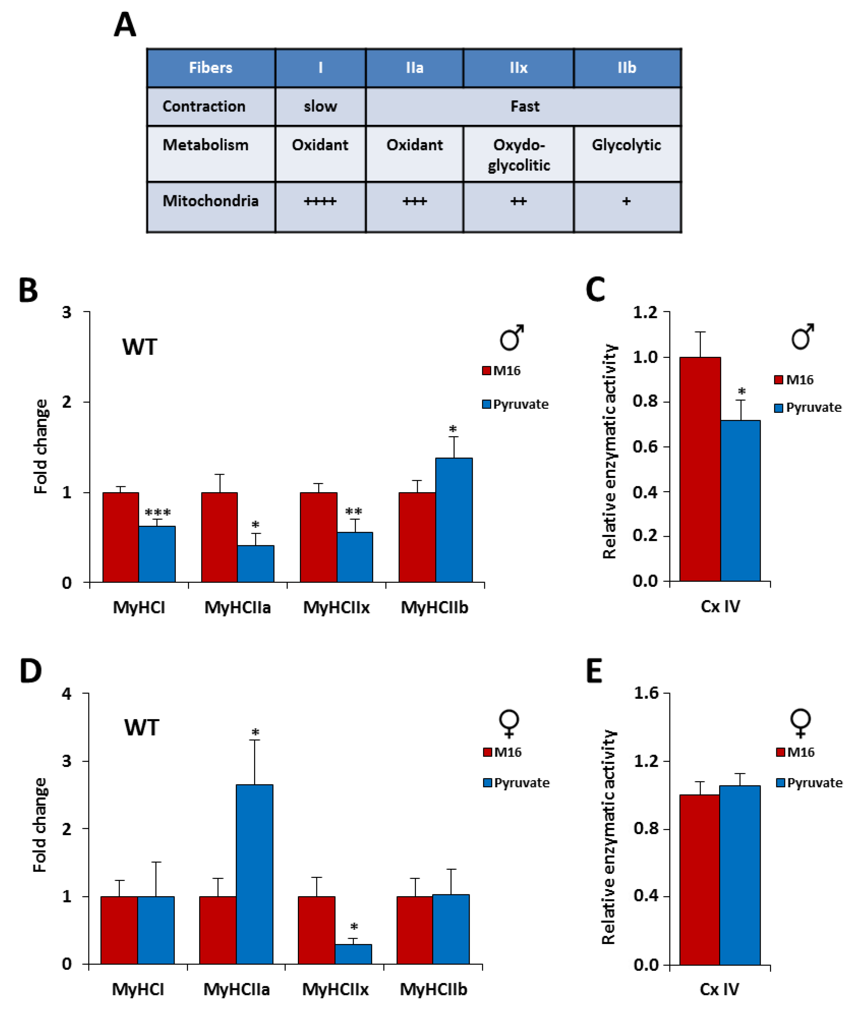 Ijms 21 07203 g003 Ijms 21 07203 g003