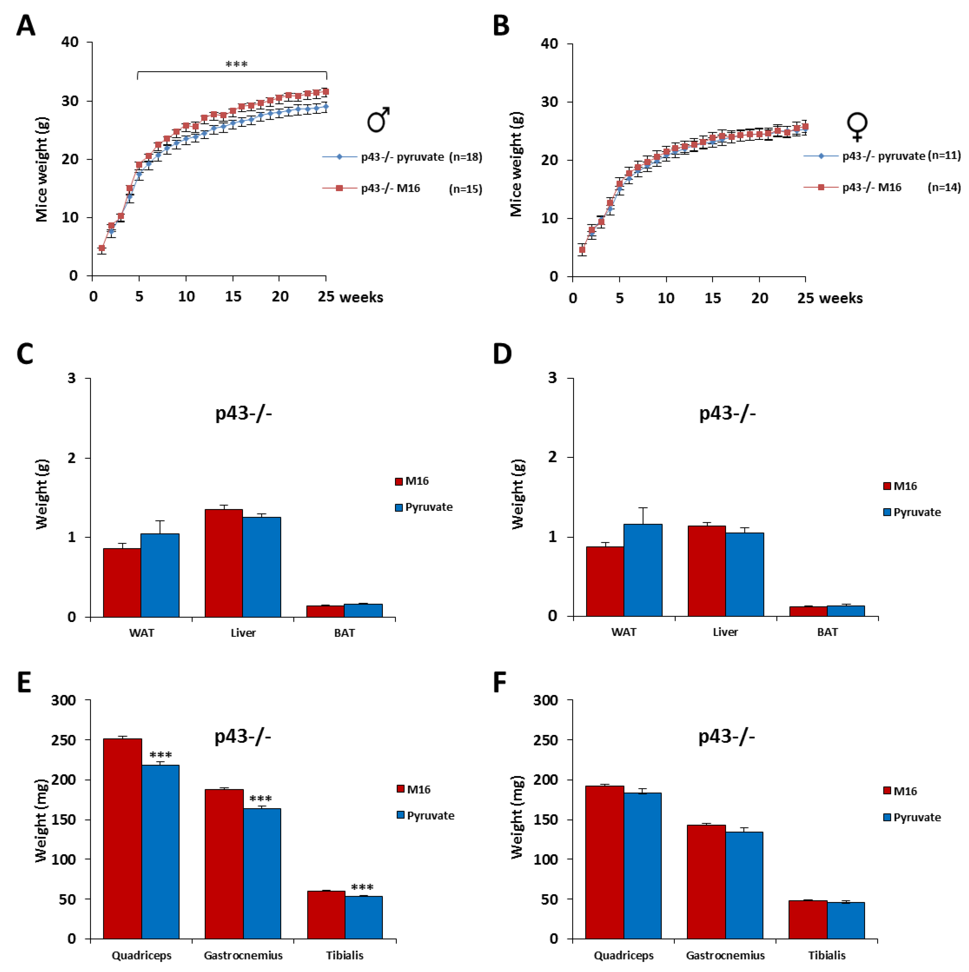 Ijms 21 07203 g004 Ijms 21 07203 g004